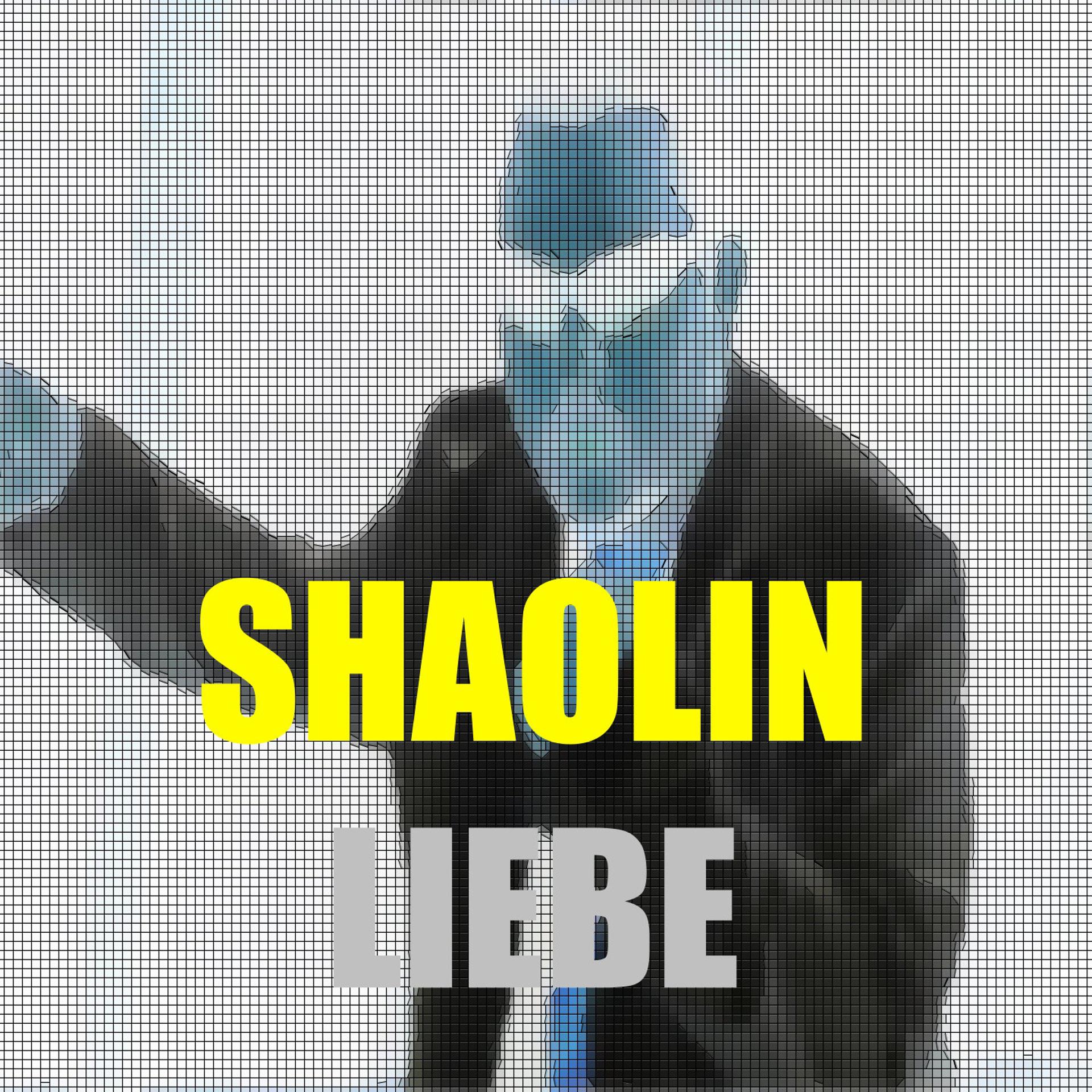 Постер альбома Shaolin Liebe