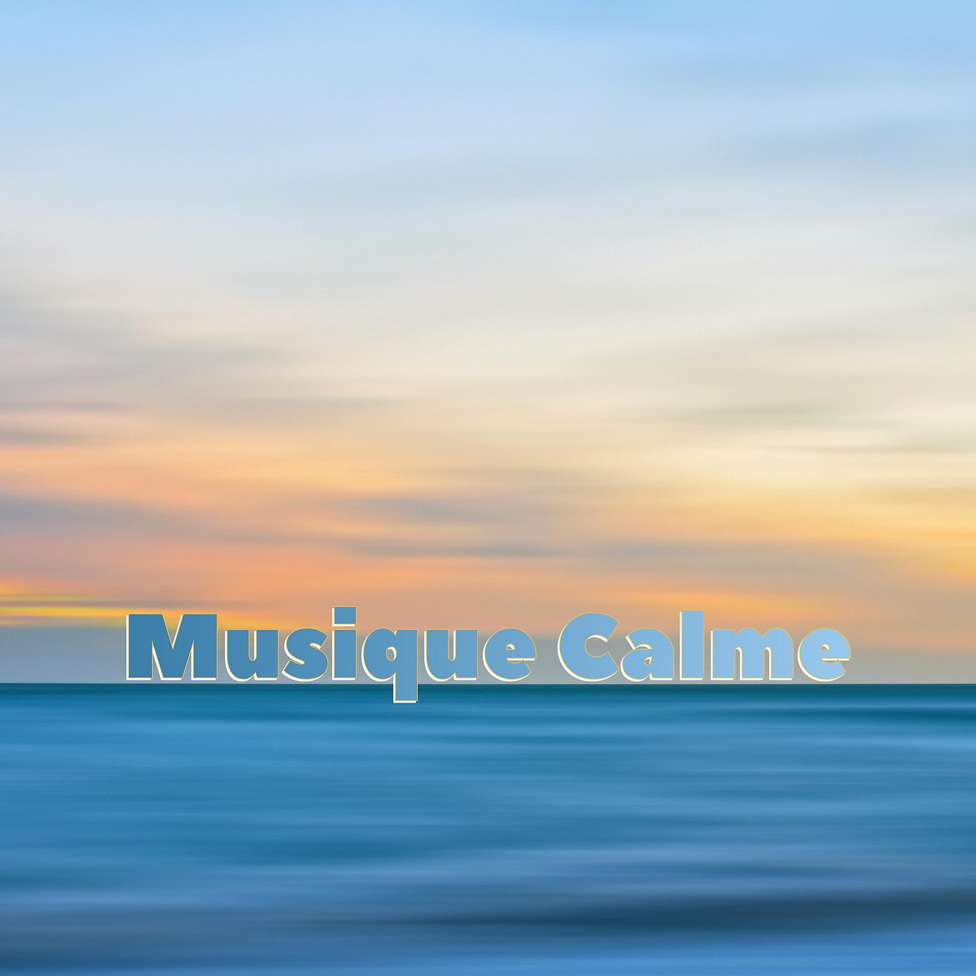 Постер альбома Musique calme