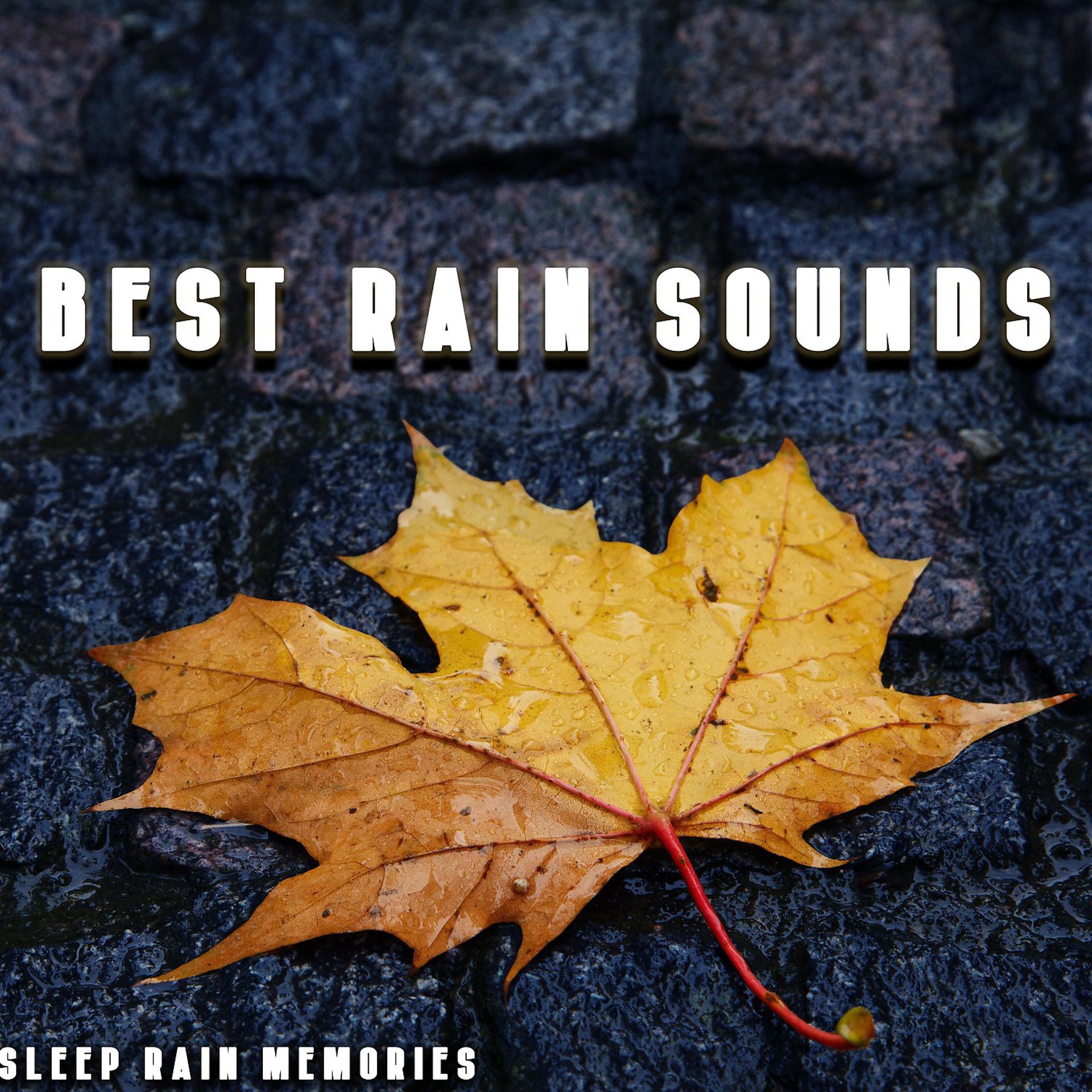 Постер альбома Best Rain Sounds