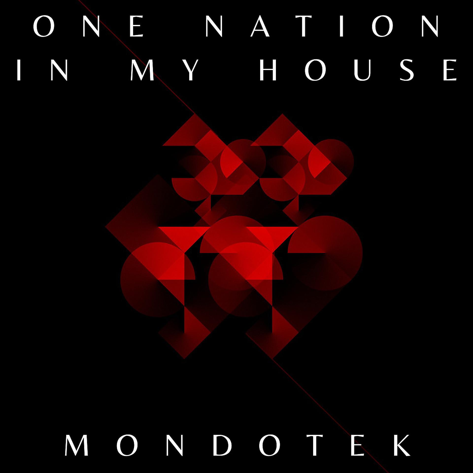Постер альбома One Nation In My House