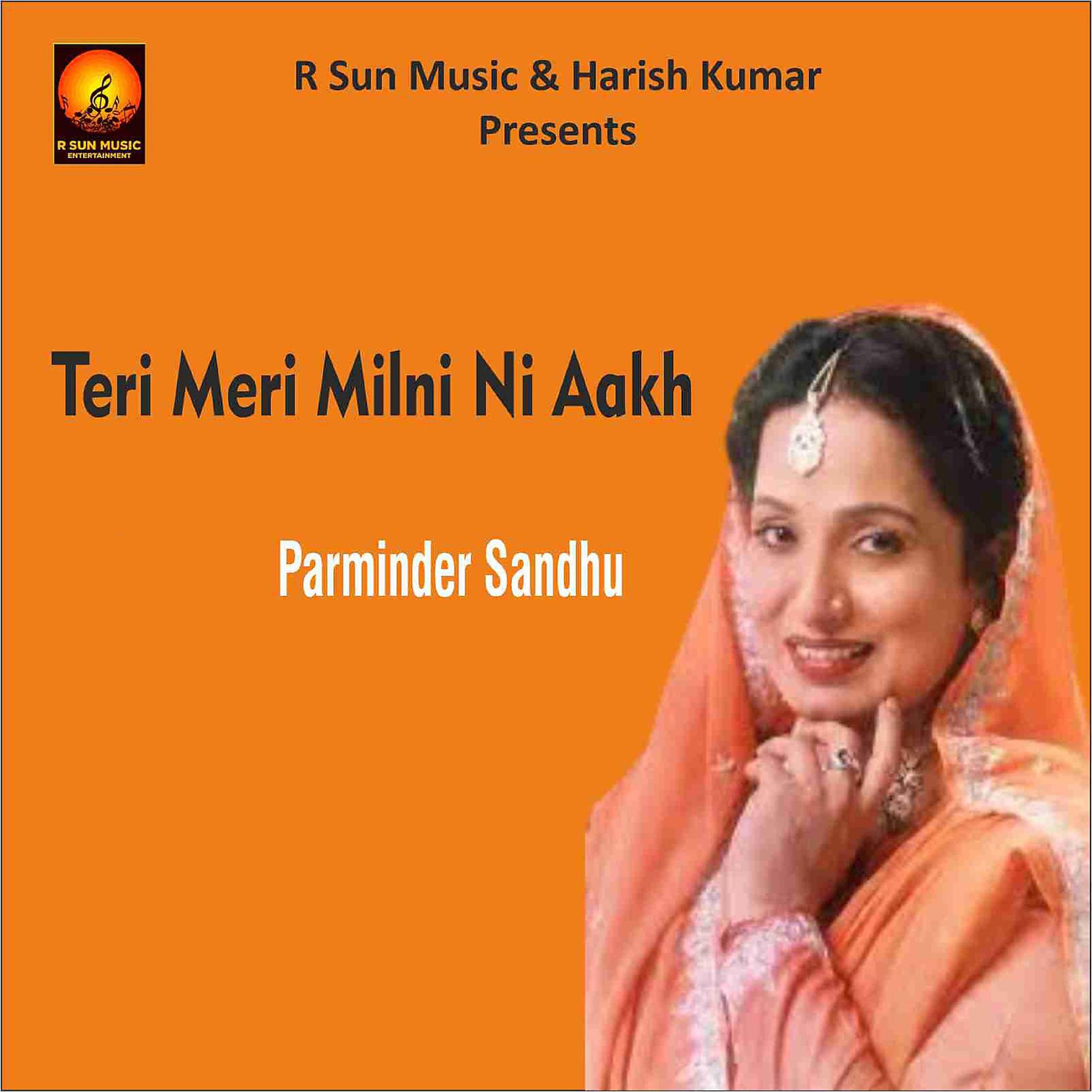 Постер альбома Teri Meri Milni Ni Aakh