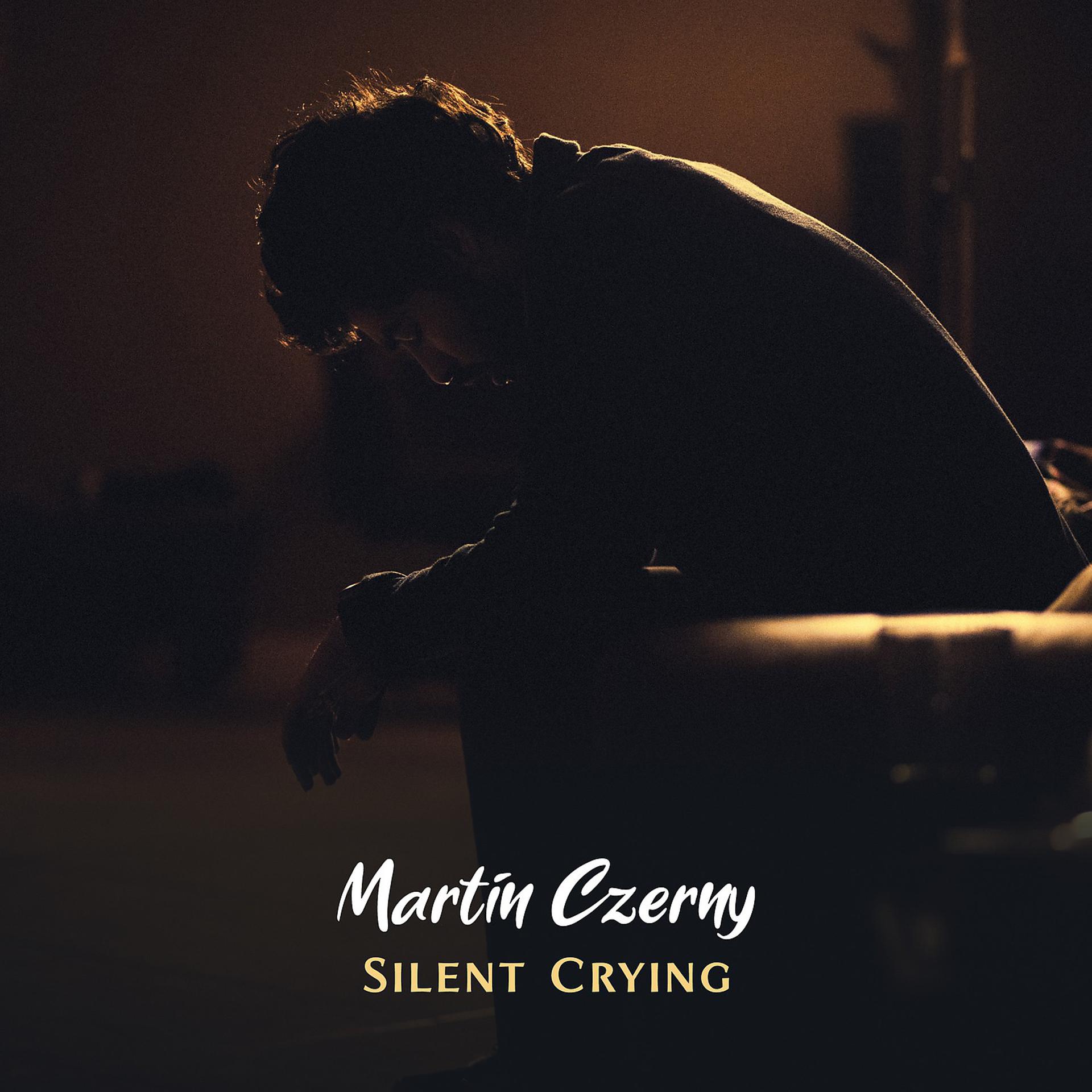 Постер альбома Silent Crying