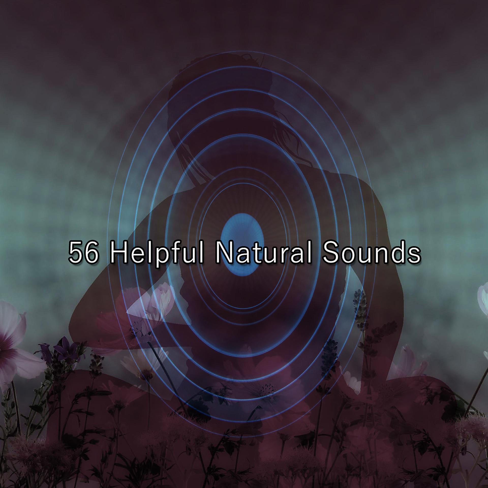 Постер альбома 56 полезных звуков природы