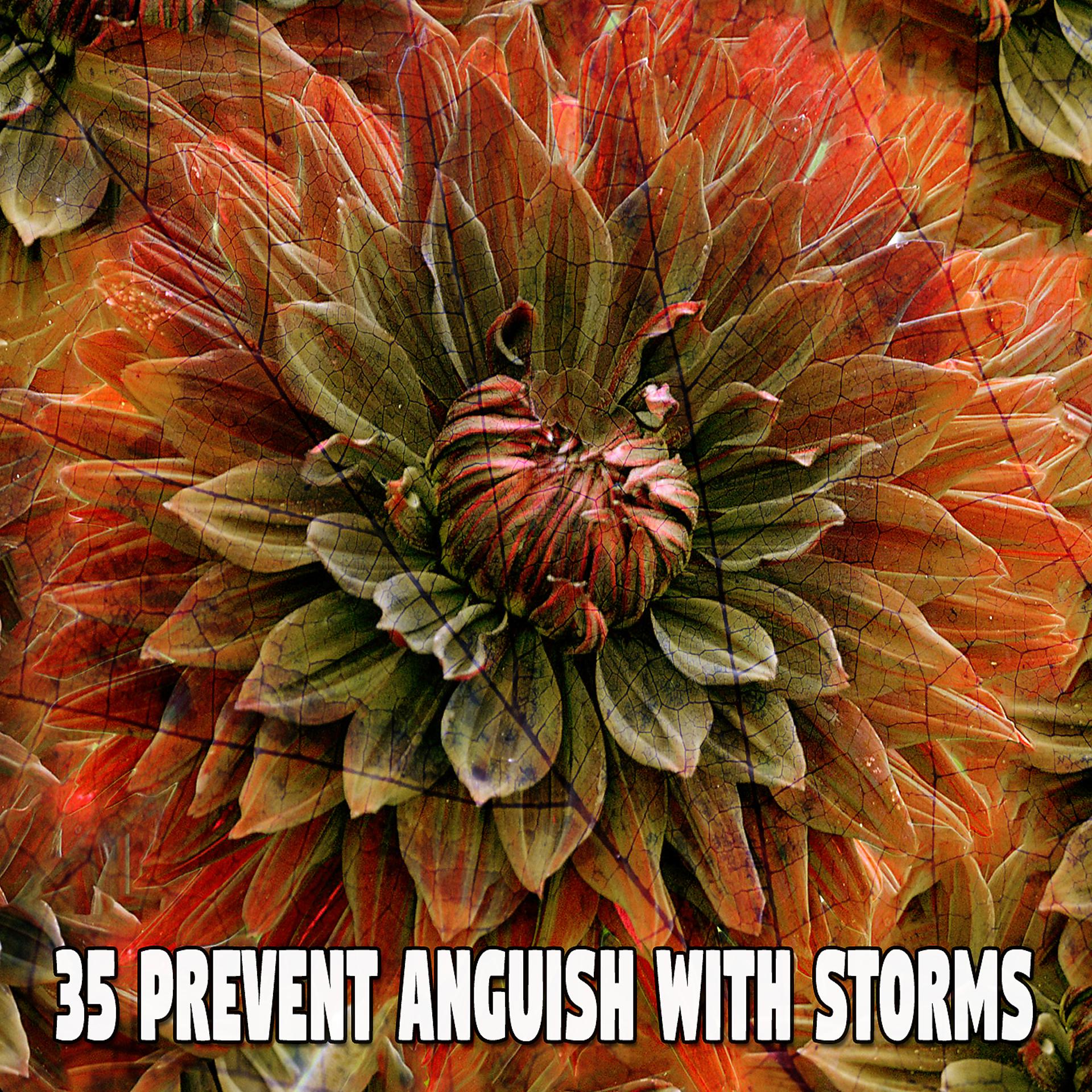 Постер альбома 35 Предотвратить страдания с помощью бури