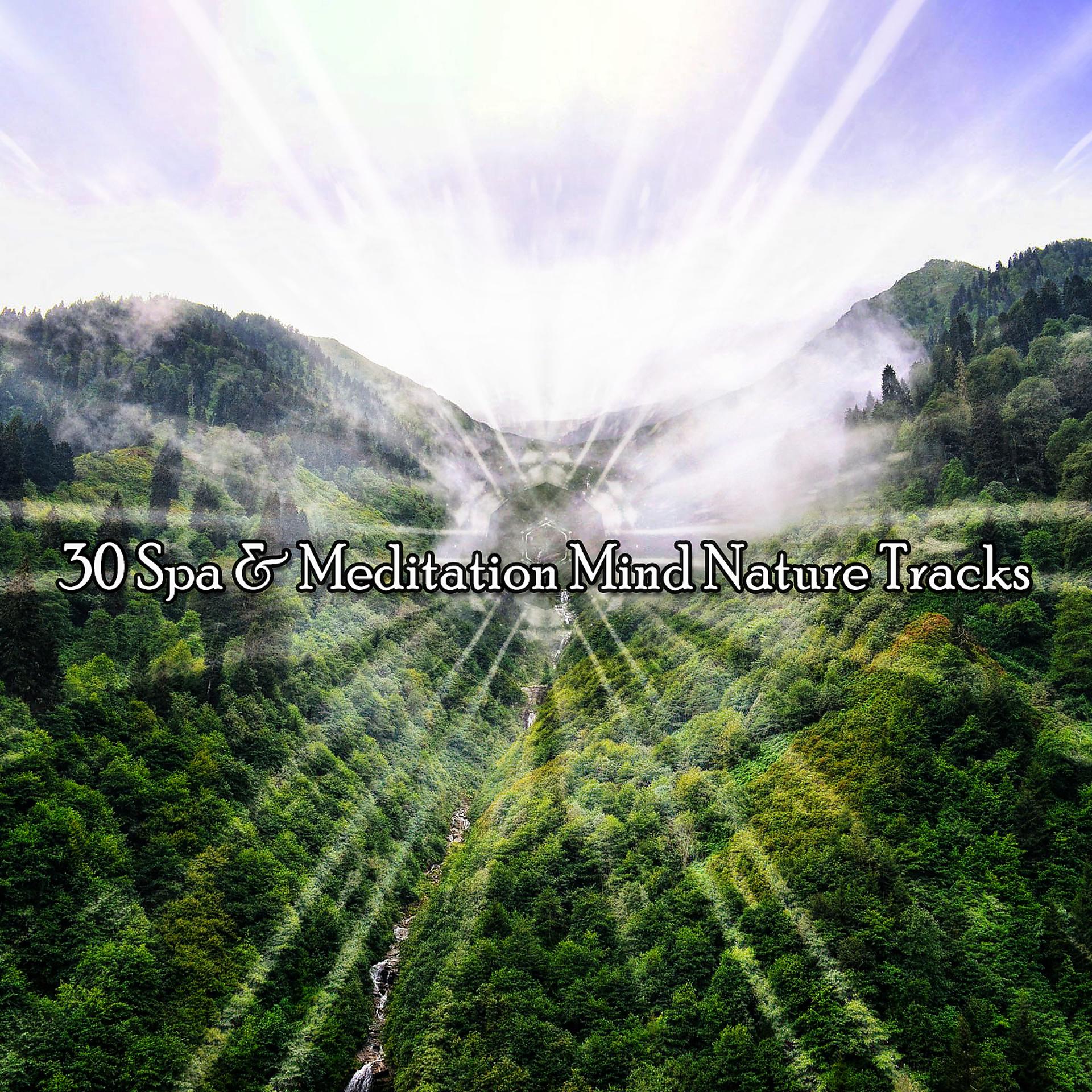 Постер альбома 30 треков для спа и медитации Mind Nature