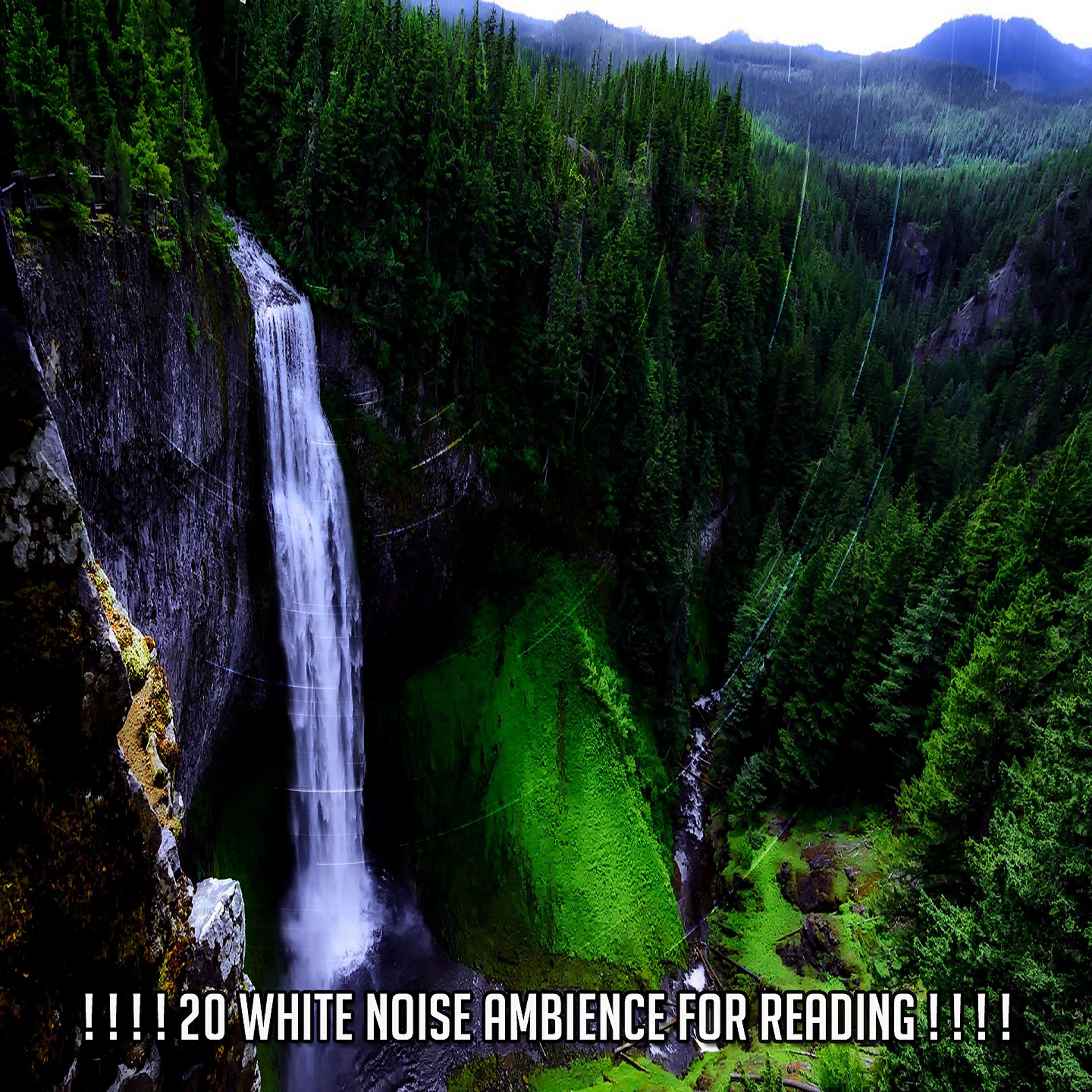 Постер альбома ! ! ! ! 20 White Noise Ambience For Reading ! ! ! !
