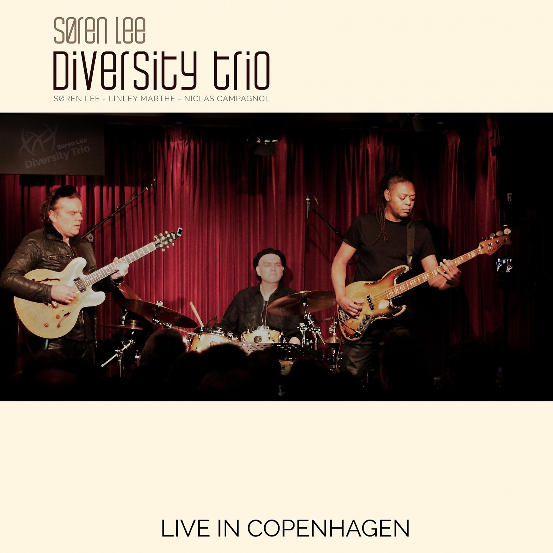 Постер альбома Søren Lee Diversity Trio