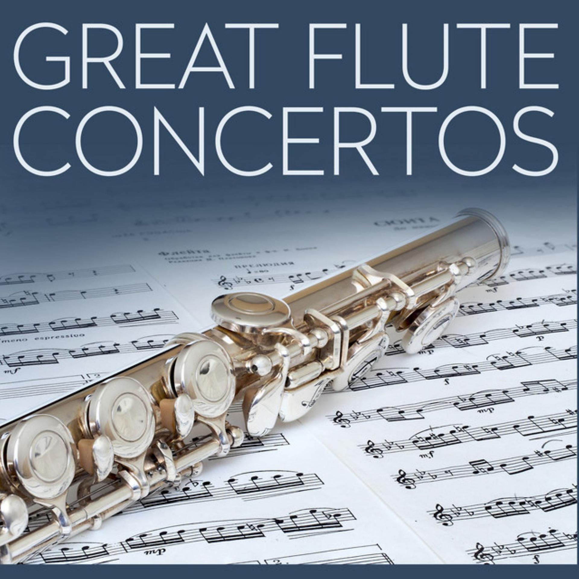 Постер альбома Great Flute Concertos