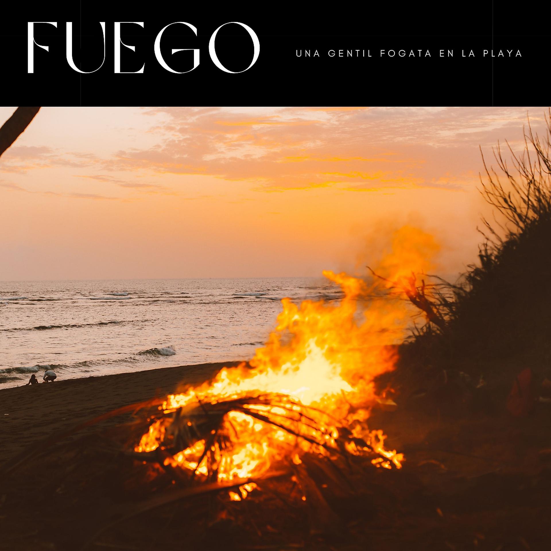 Постер альбома Fuego: Una Gentil Fogata En La Playa