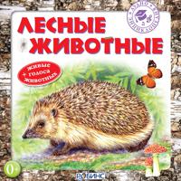 Постер альбома Аудиоэнциклопедия. Лесные животные + живые голоса животных