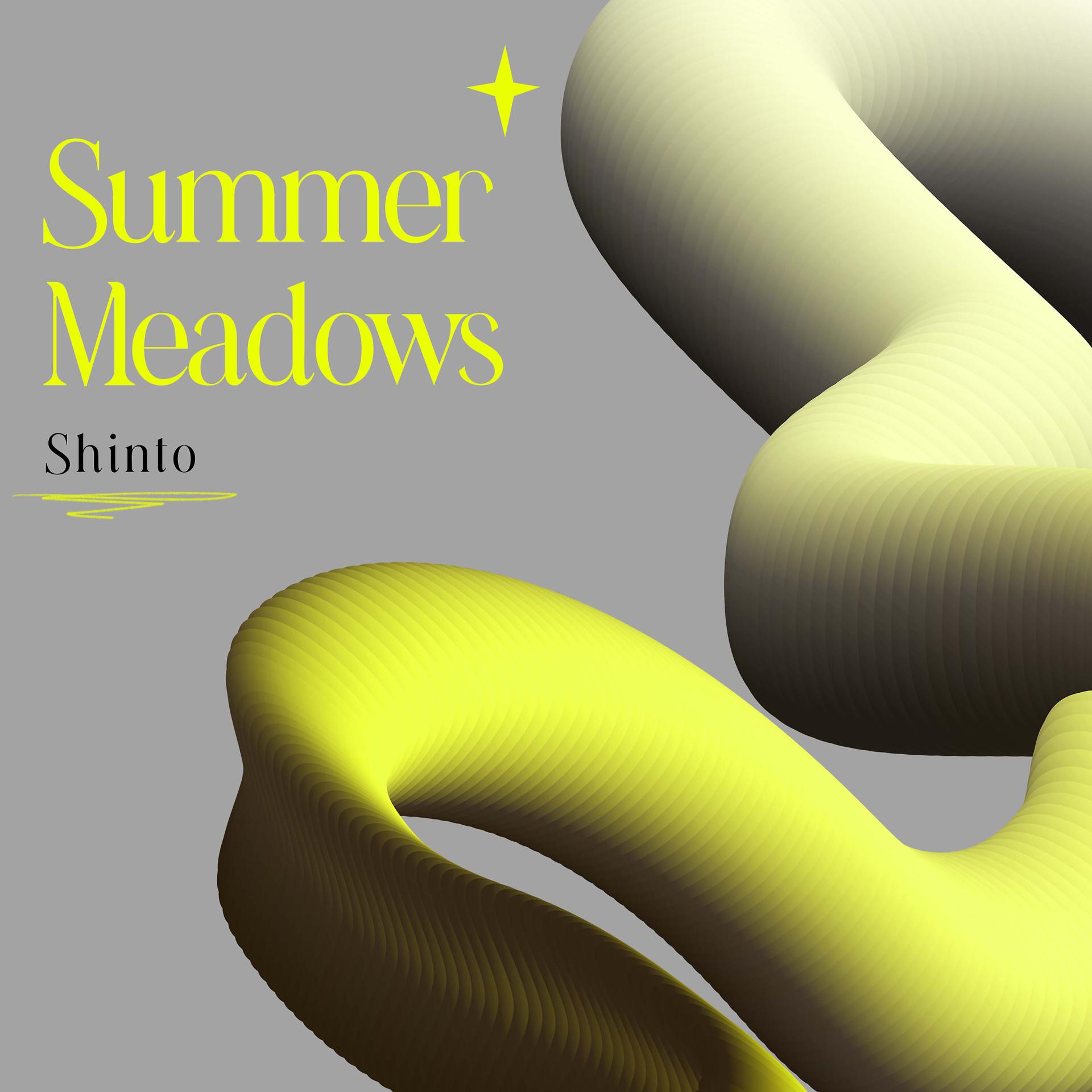 Постер альбома Summer Meadows