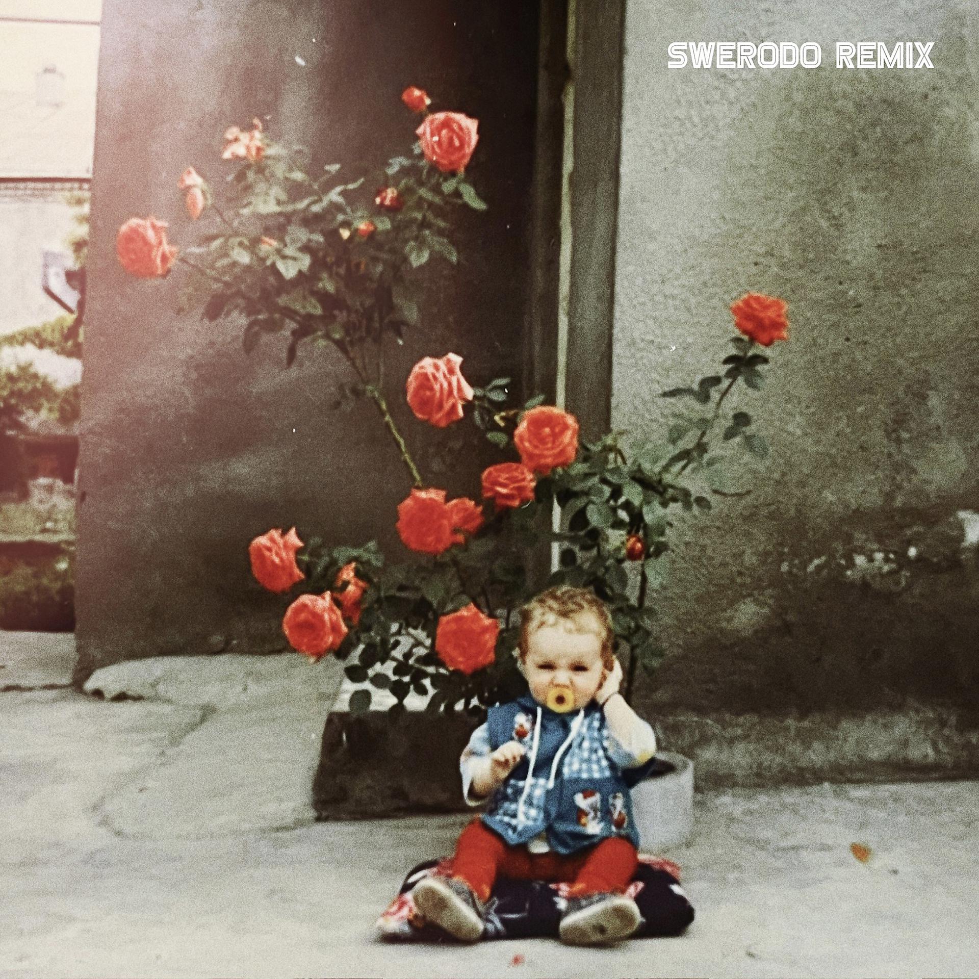 Постер альбома Детство (SWERODO Remix)