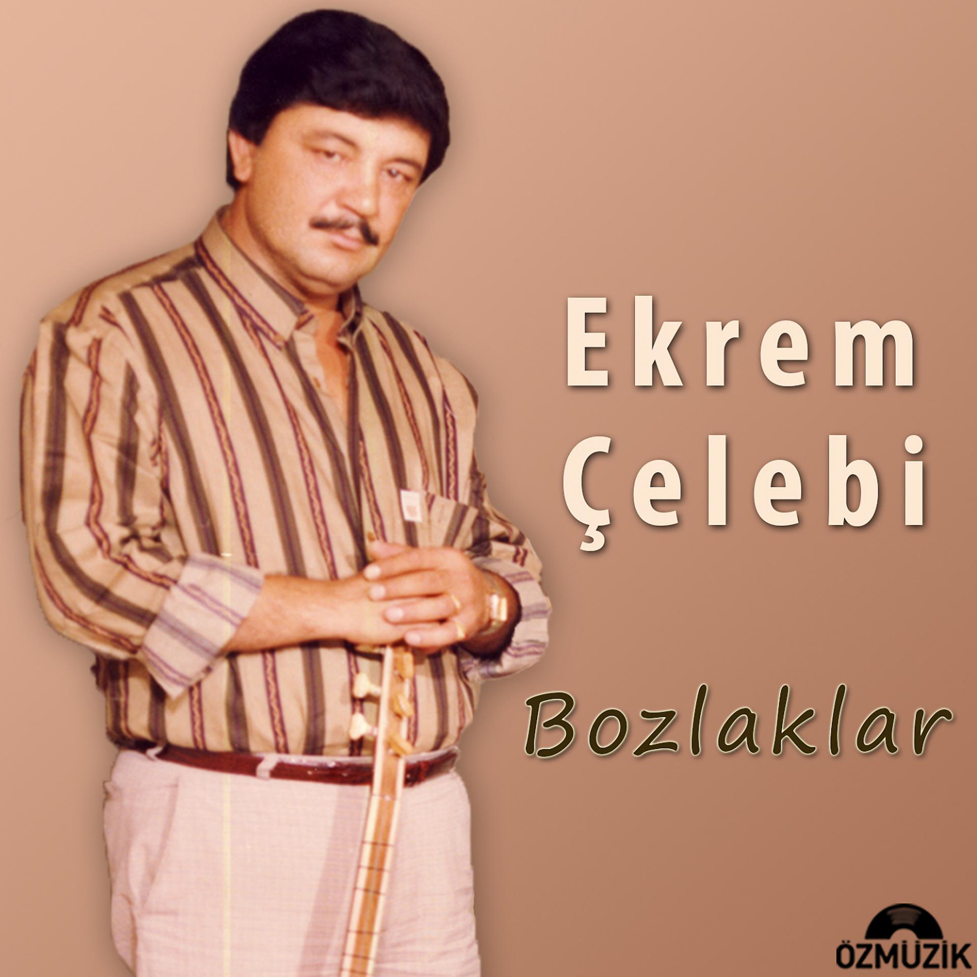 Постер альбома Bozlaklar