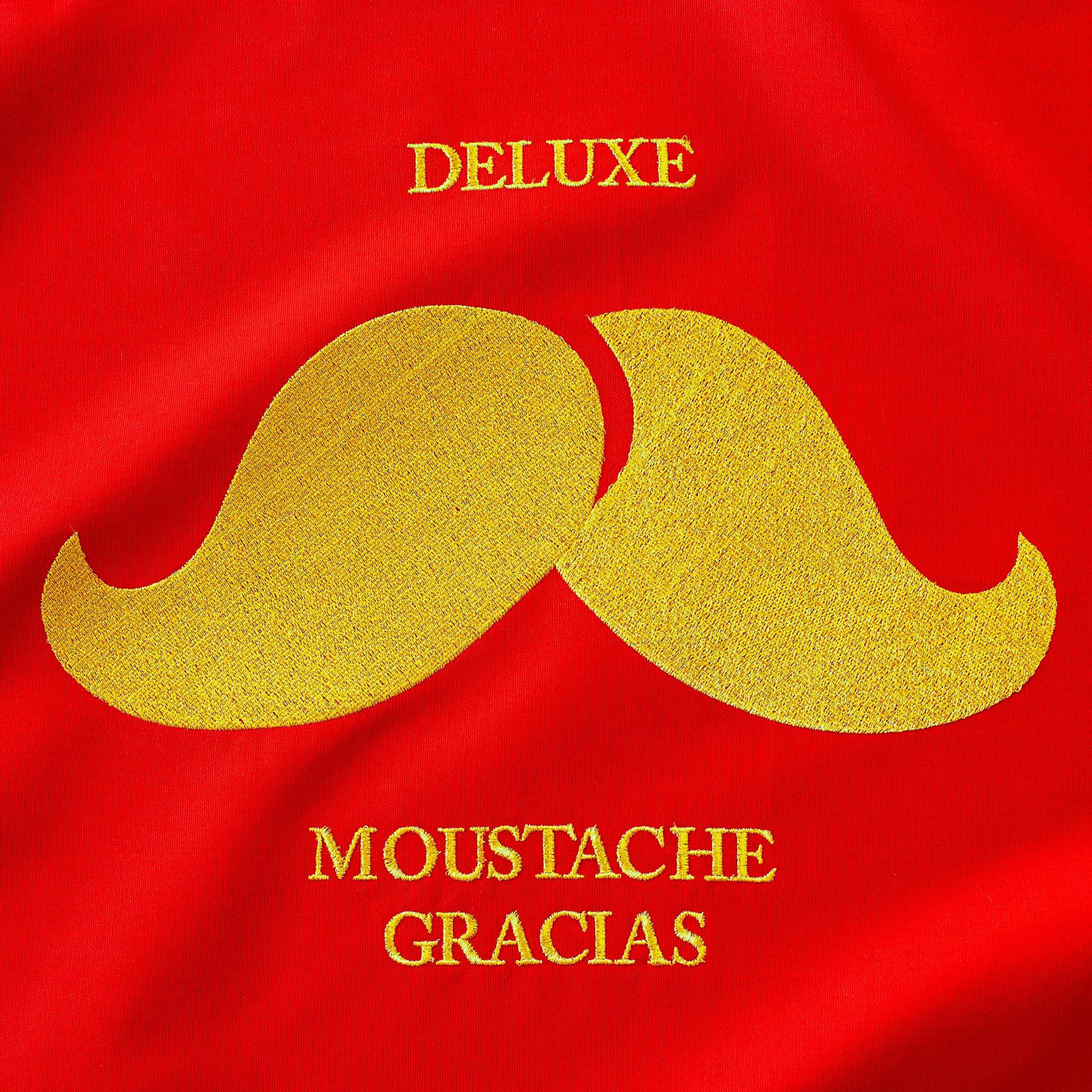 Постер альбома Moustache Gracias