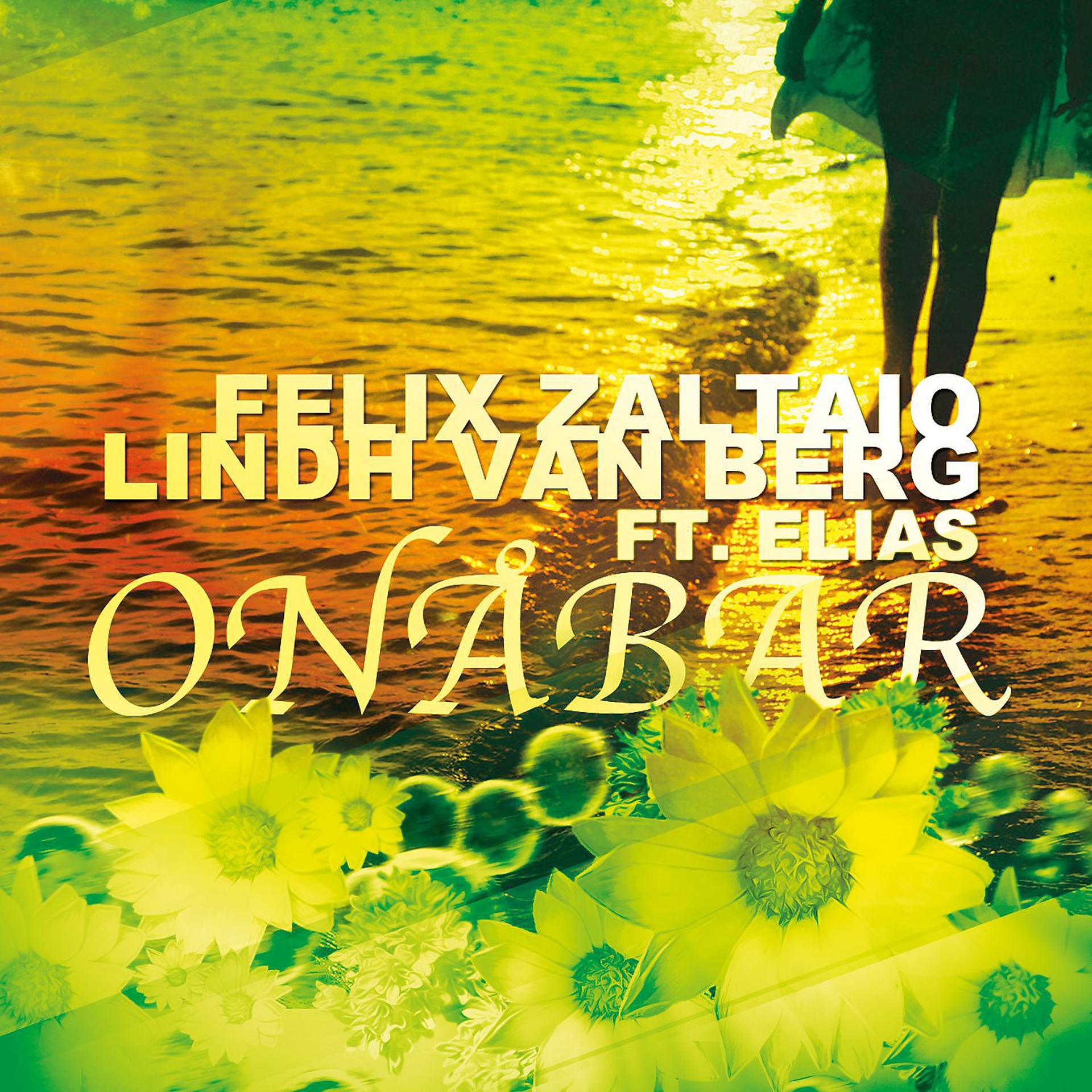 Постер альбома Onåbar (feat. Elias)