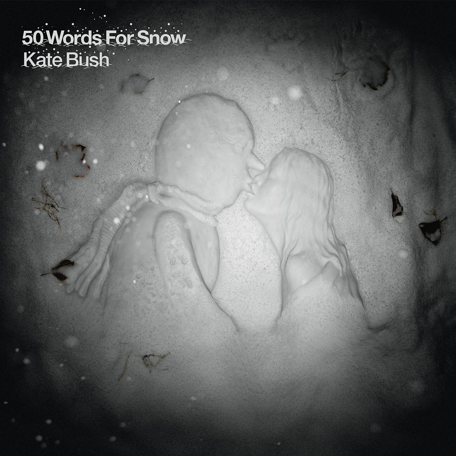 Постер альбома 50 Words for Snow