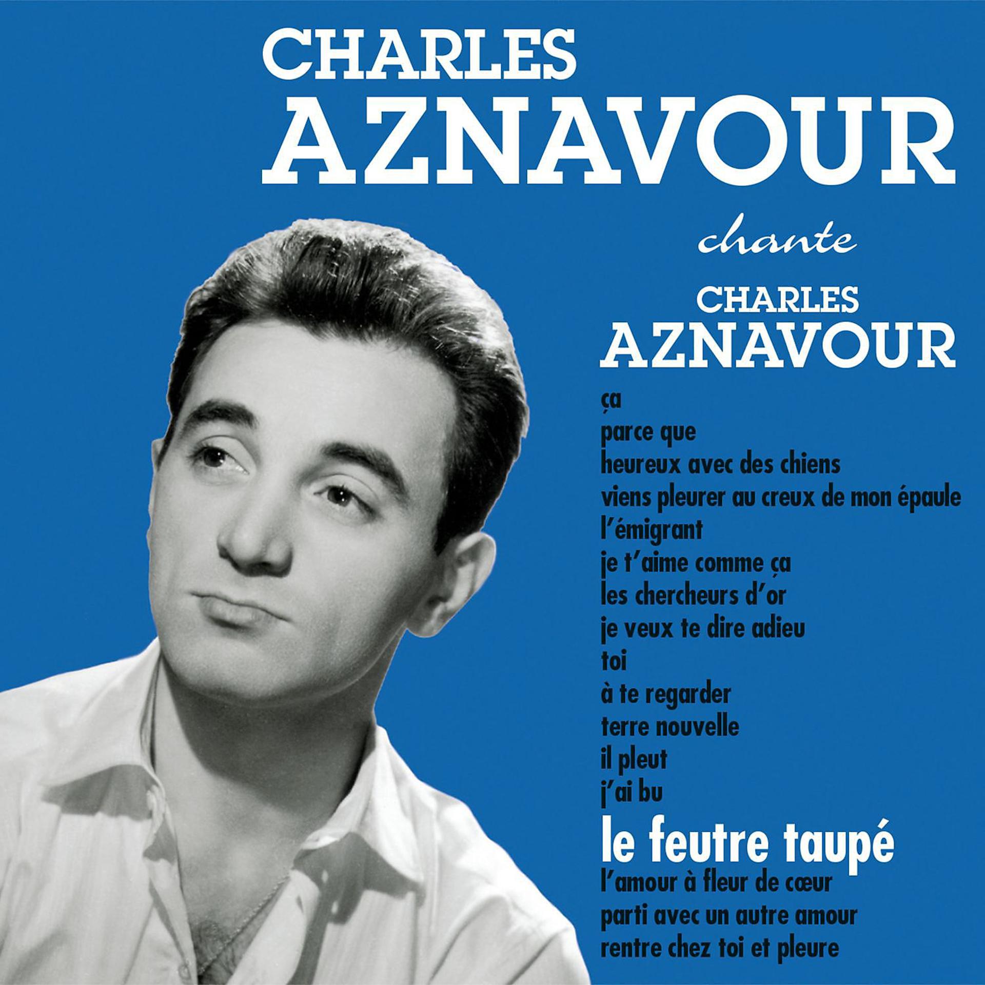 Постер альбома Le feutre taupé