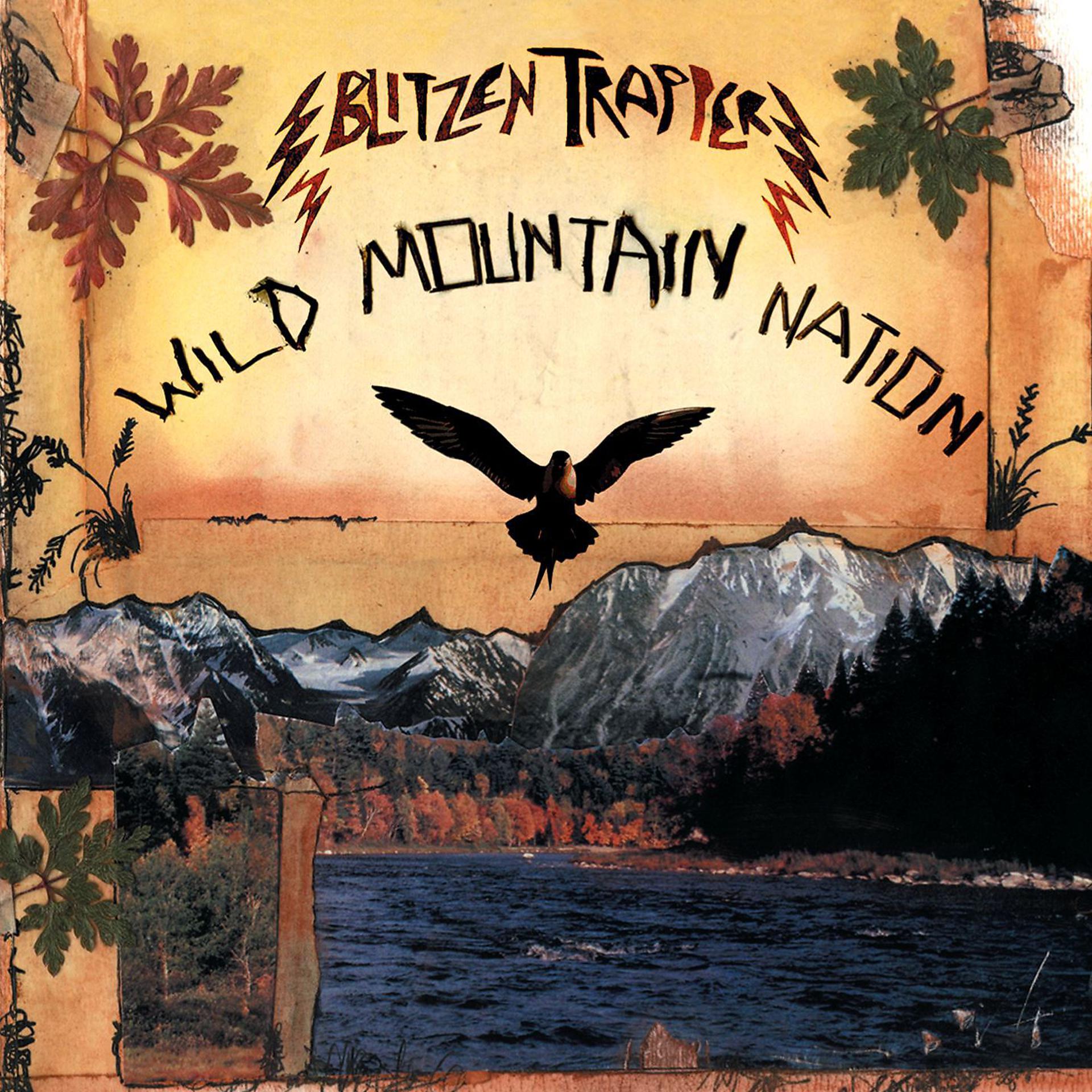 Постер альбома Wild Mountain Nation