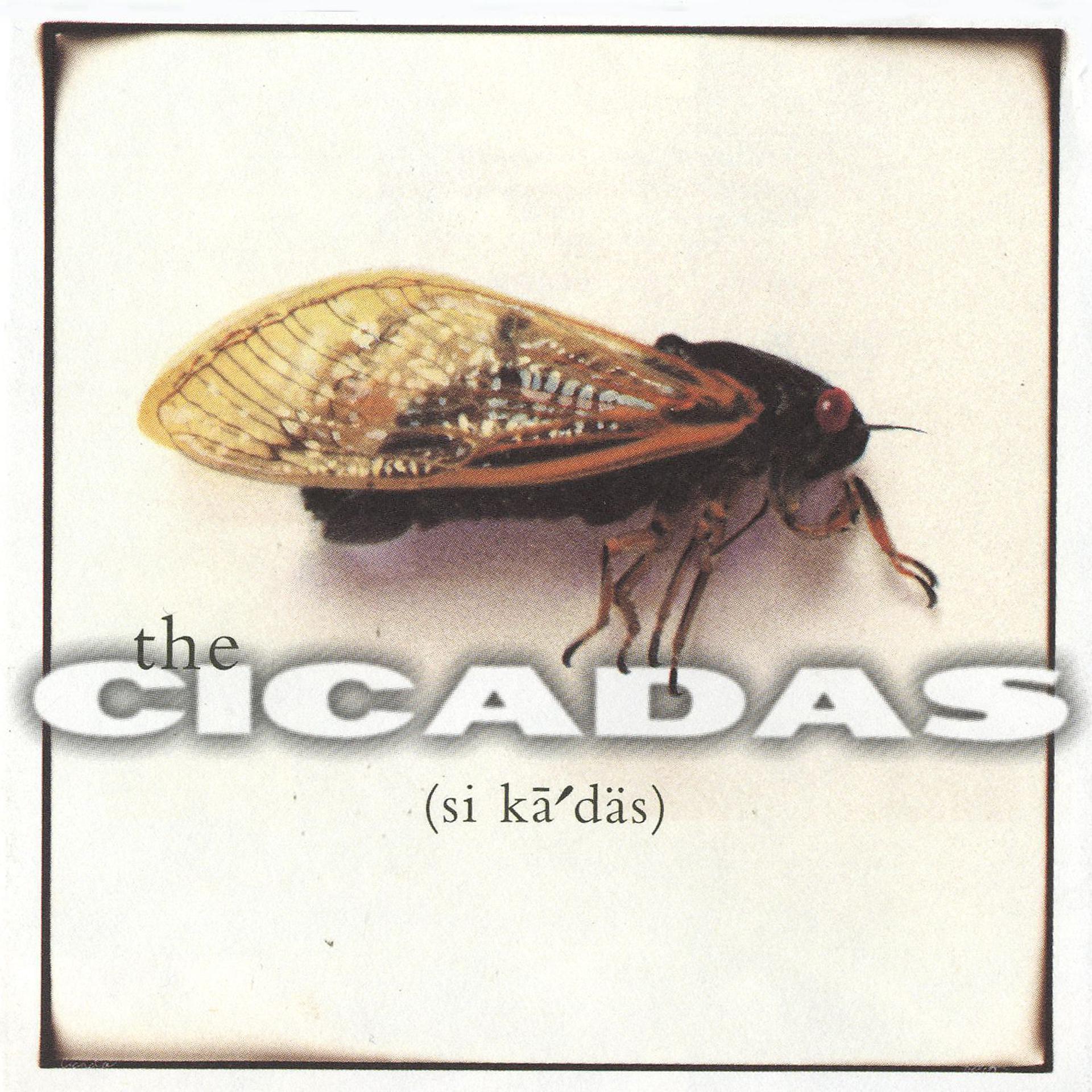 Постер альбома The Cicadas