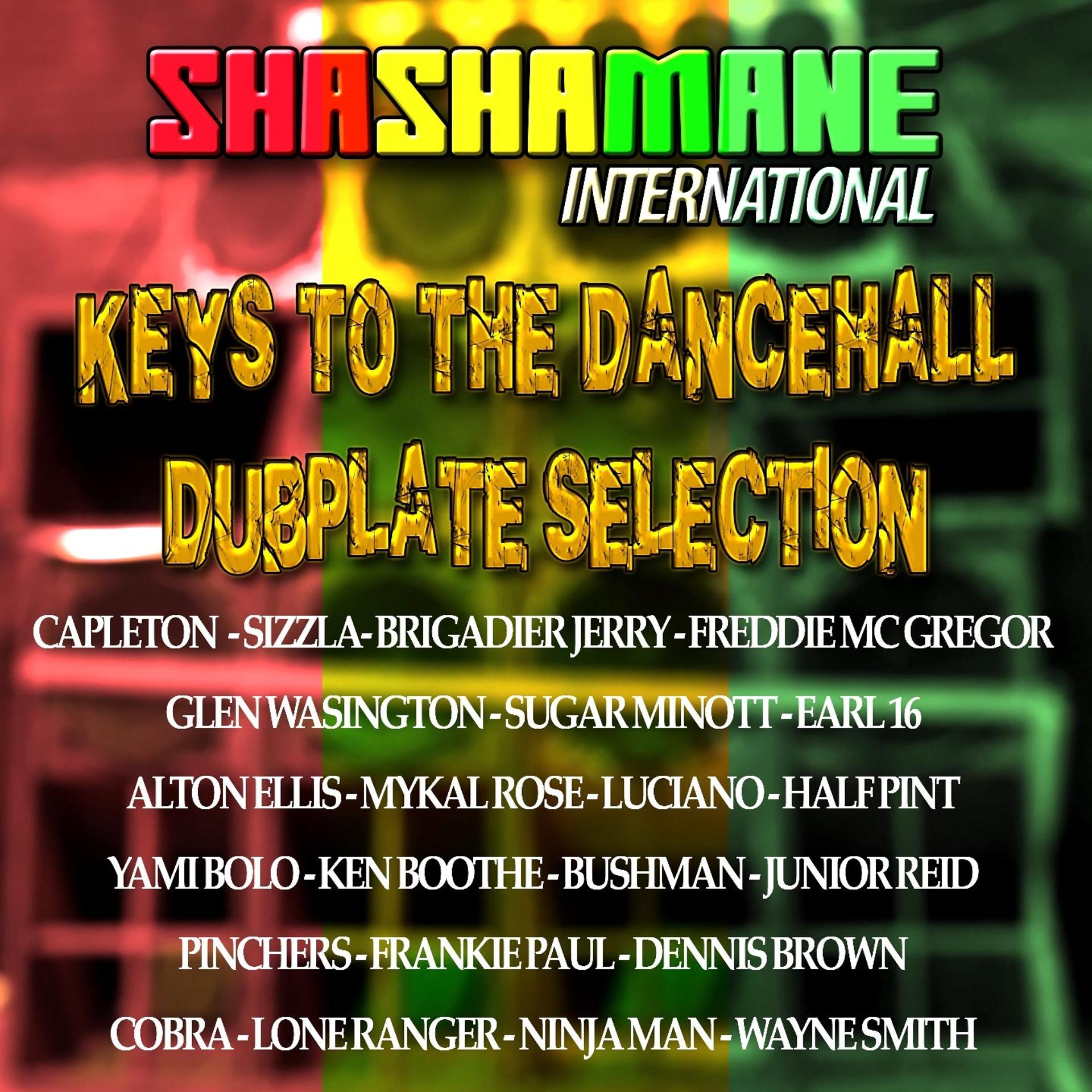 Постер альбома Keys to the Dancehall (Dubplate Selection) [Shashamane International Presents]