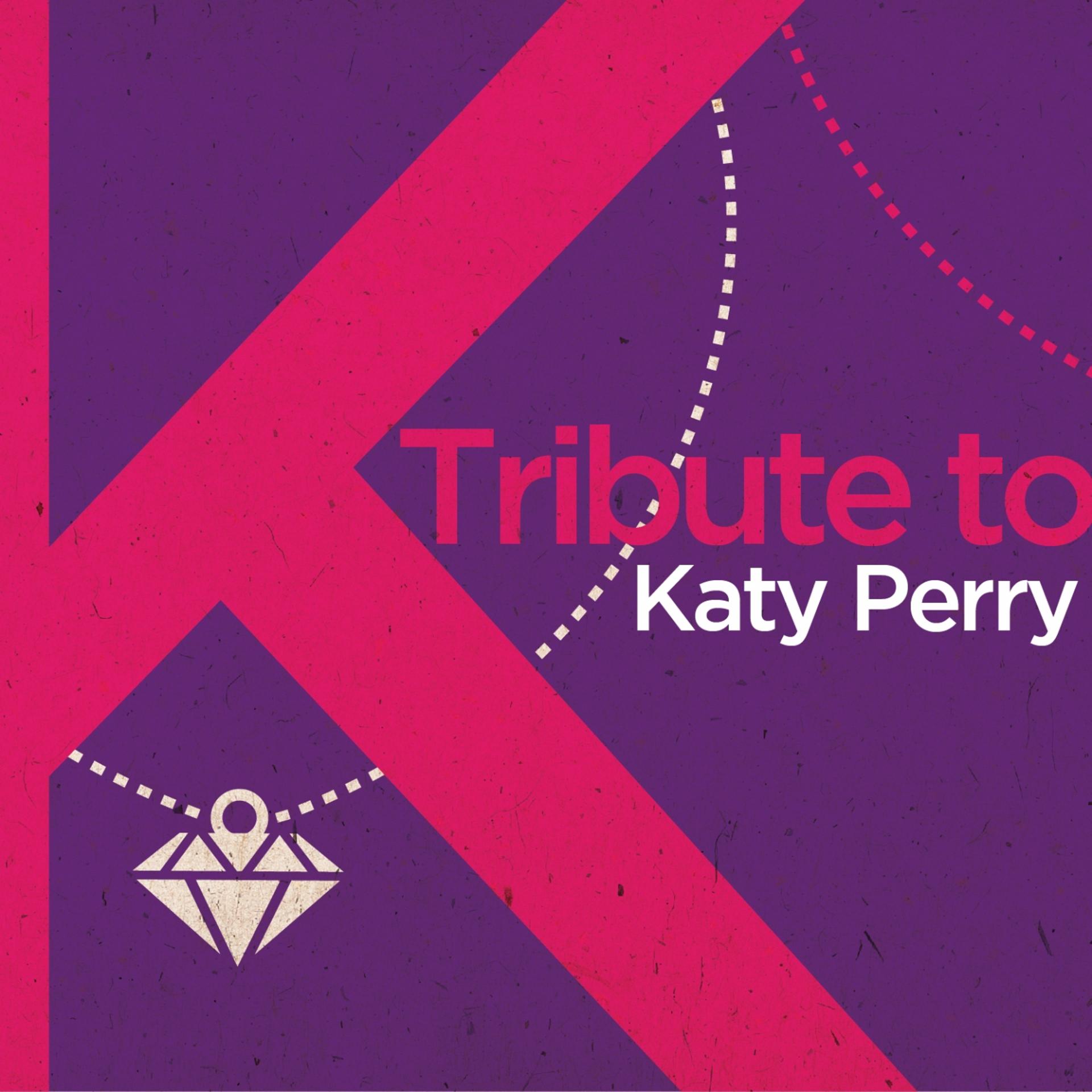 Постер альбома Tribute to Katy Perry