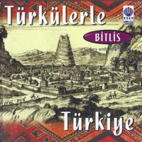 Постер альбома Bitlis