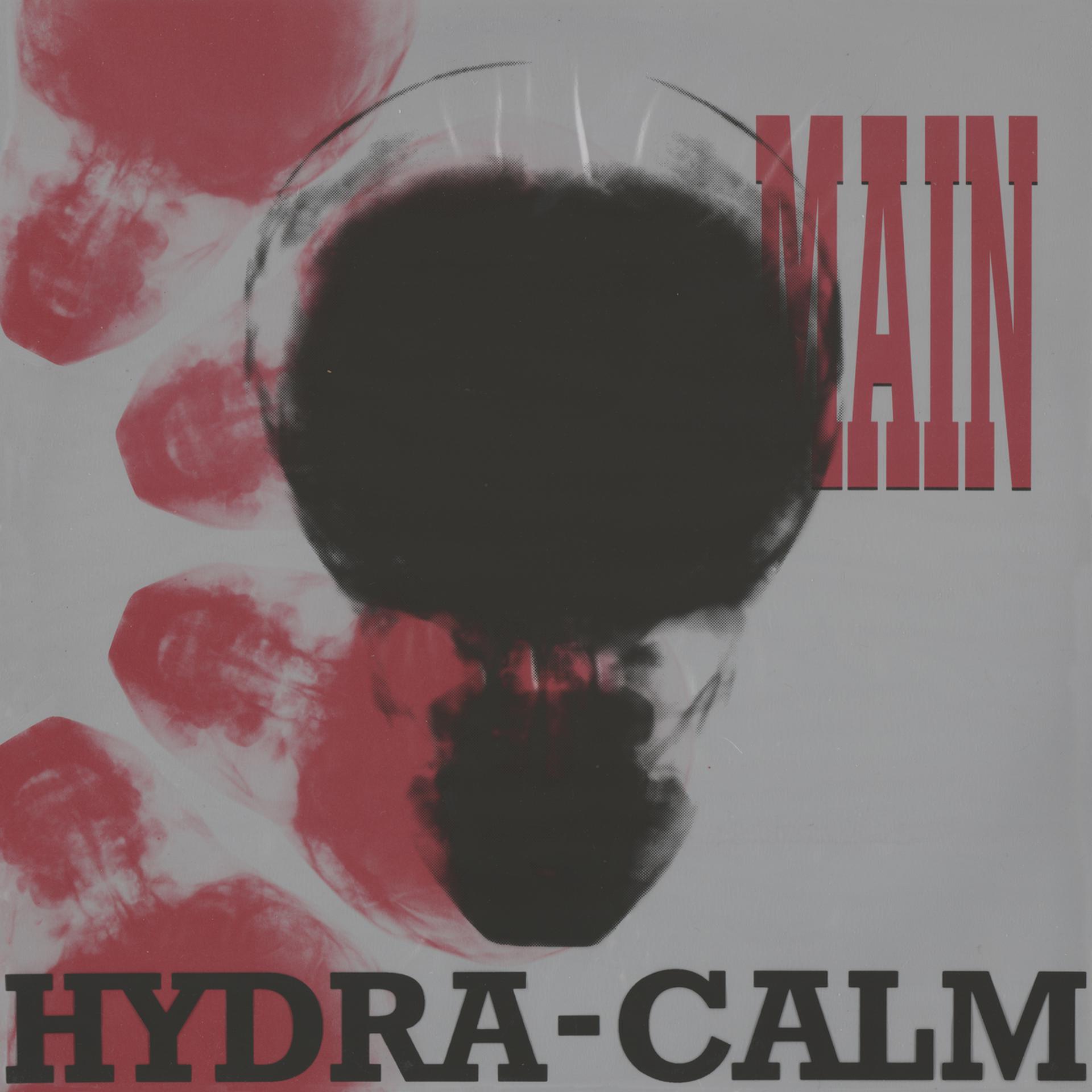 Постер альбома Hydra-Calm