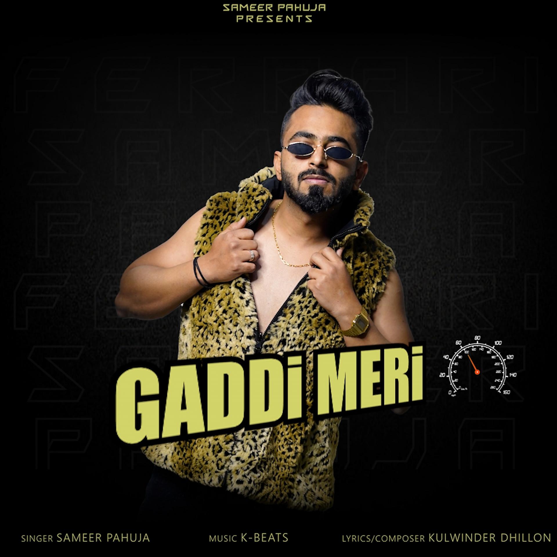 Постер альбома Gaddi Meri