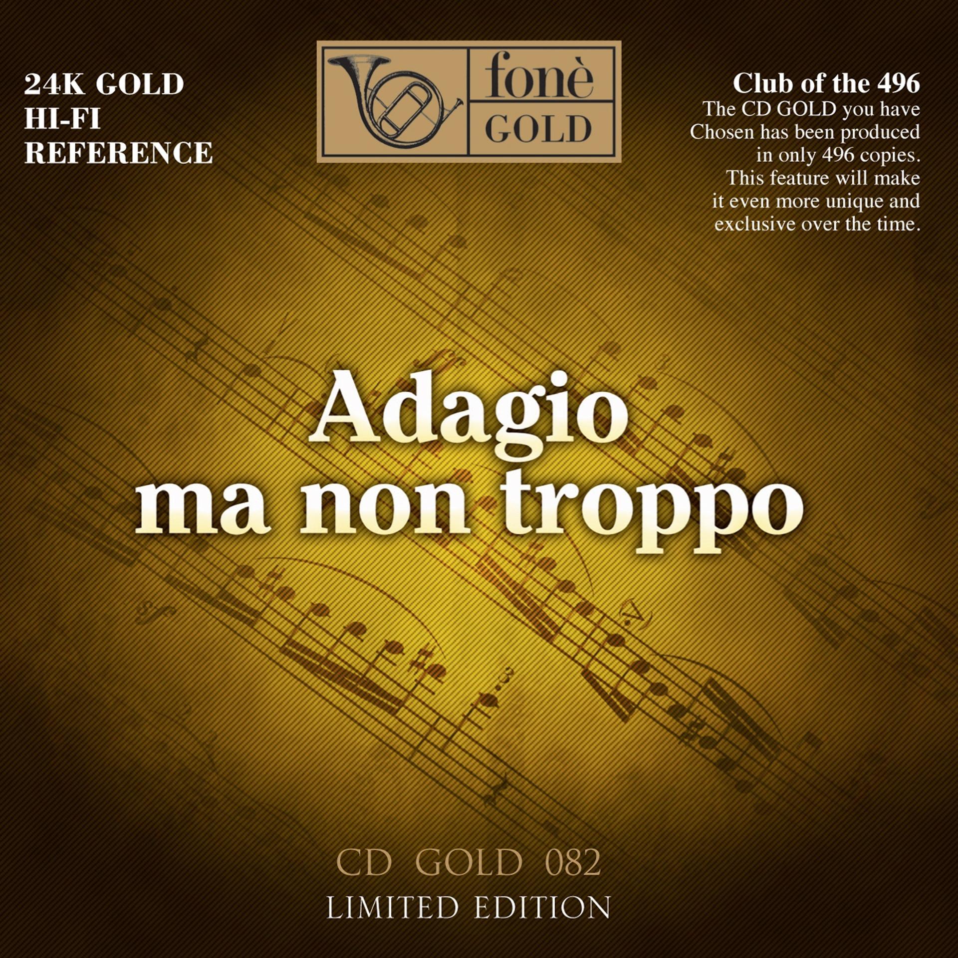 Постер альбома Adagio ma non troppo