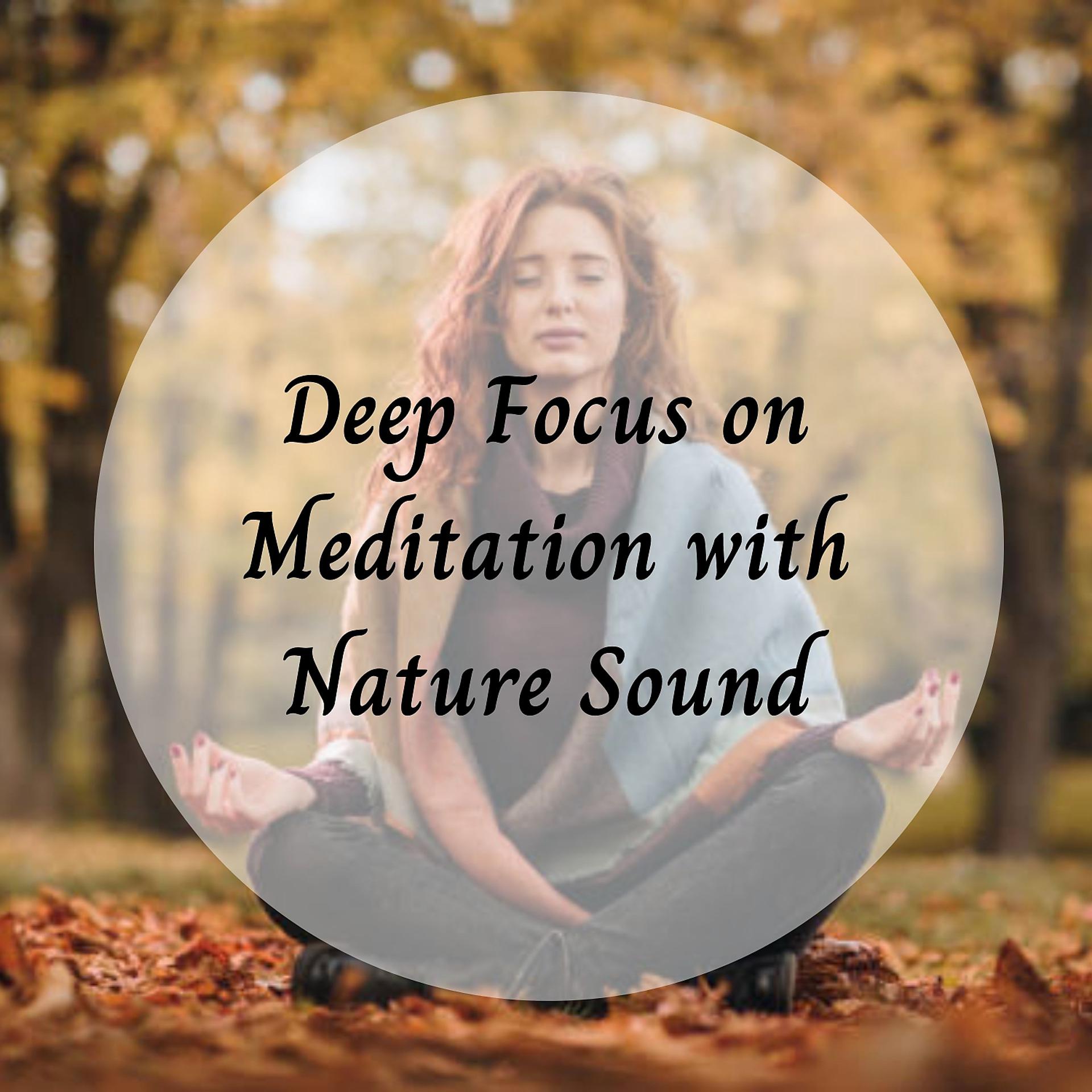 Постер альбома Deep Focus on Meditation with Nature Sound