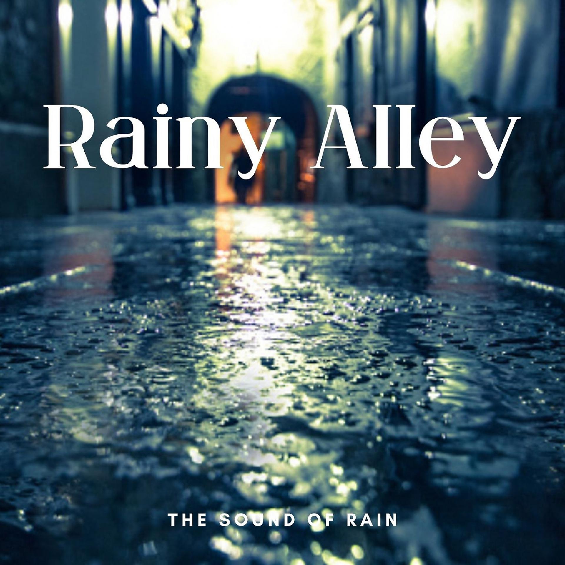 Постер альбома The Sound of Rain: Rainy Alley