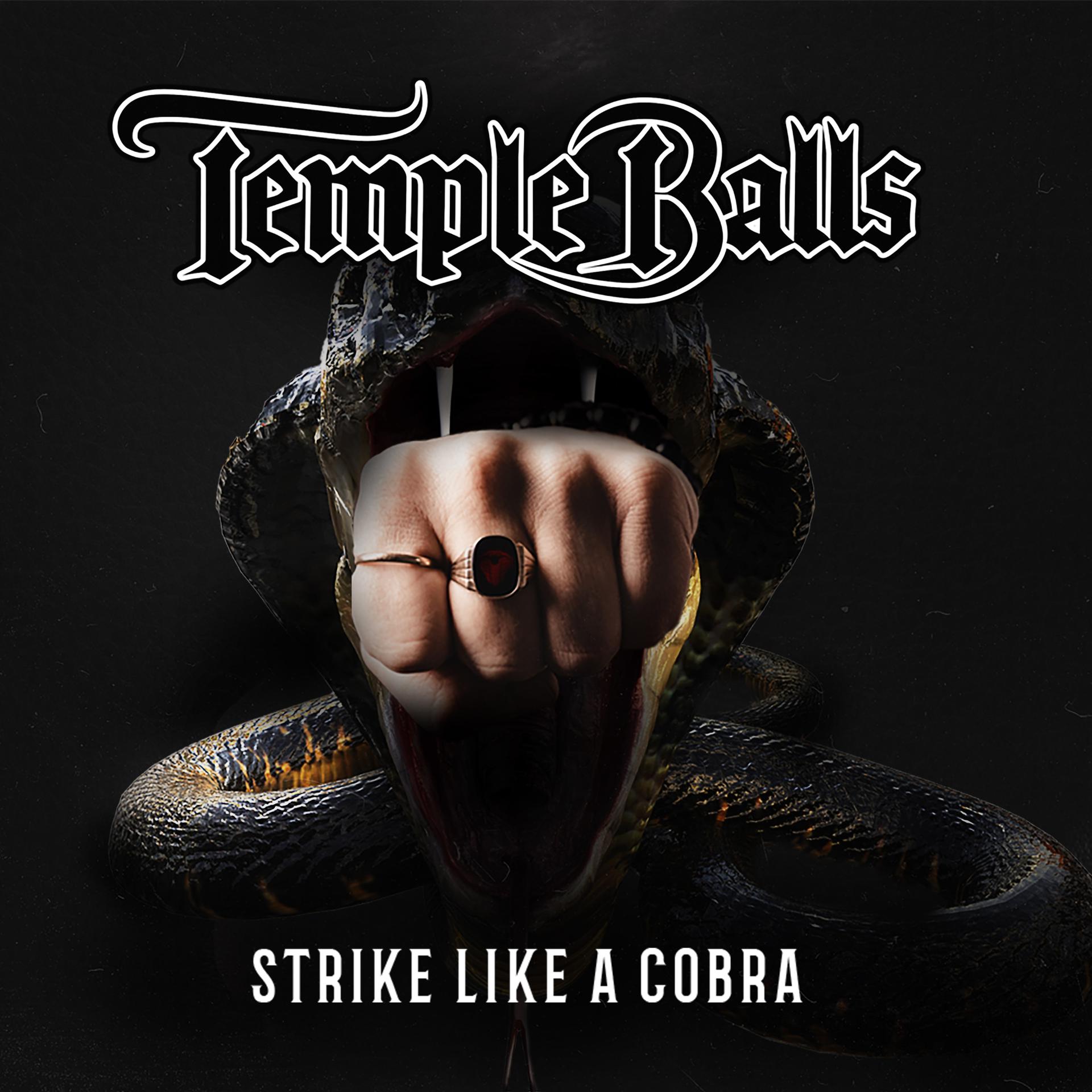 Постер альбома Strike Like a Cobra