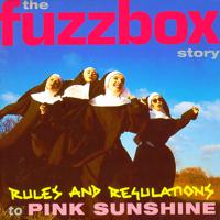 Постер альбома Rules And Regulations To Pink Sunshine: The Fuzzbox Story