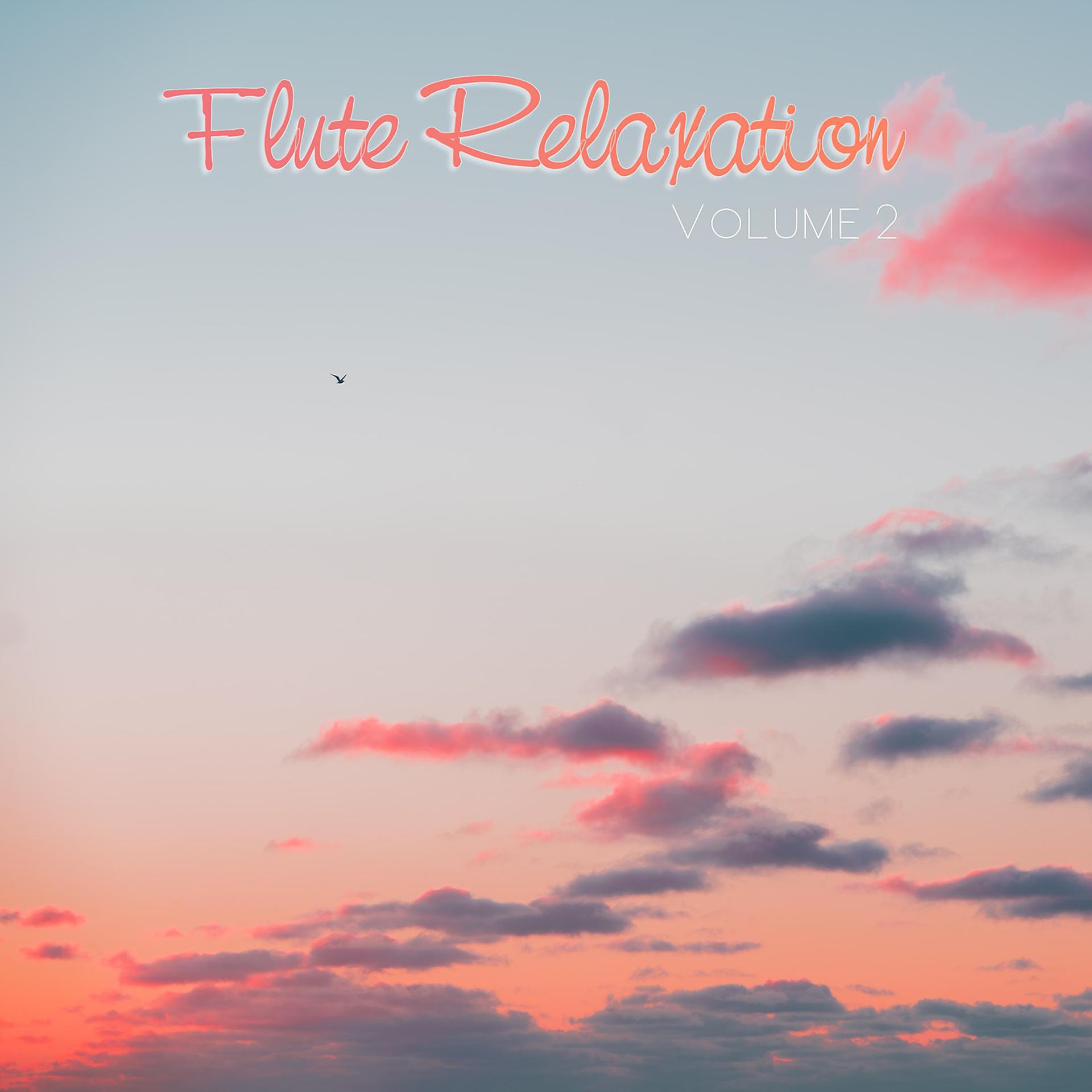 Постер альбома Flute Relaxation, Vol. 2