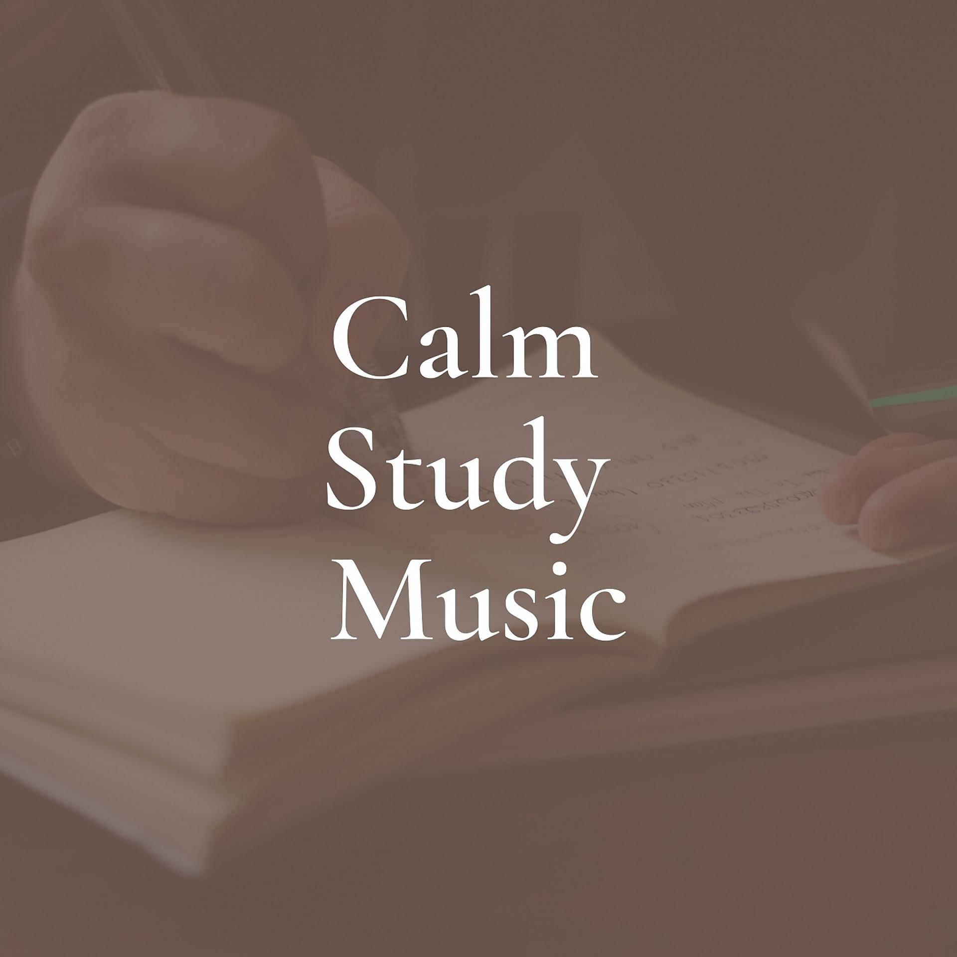 Постер альбома Calm Study Music