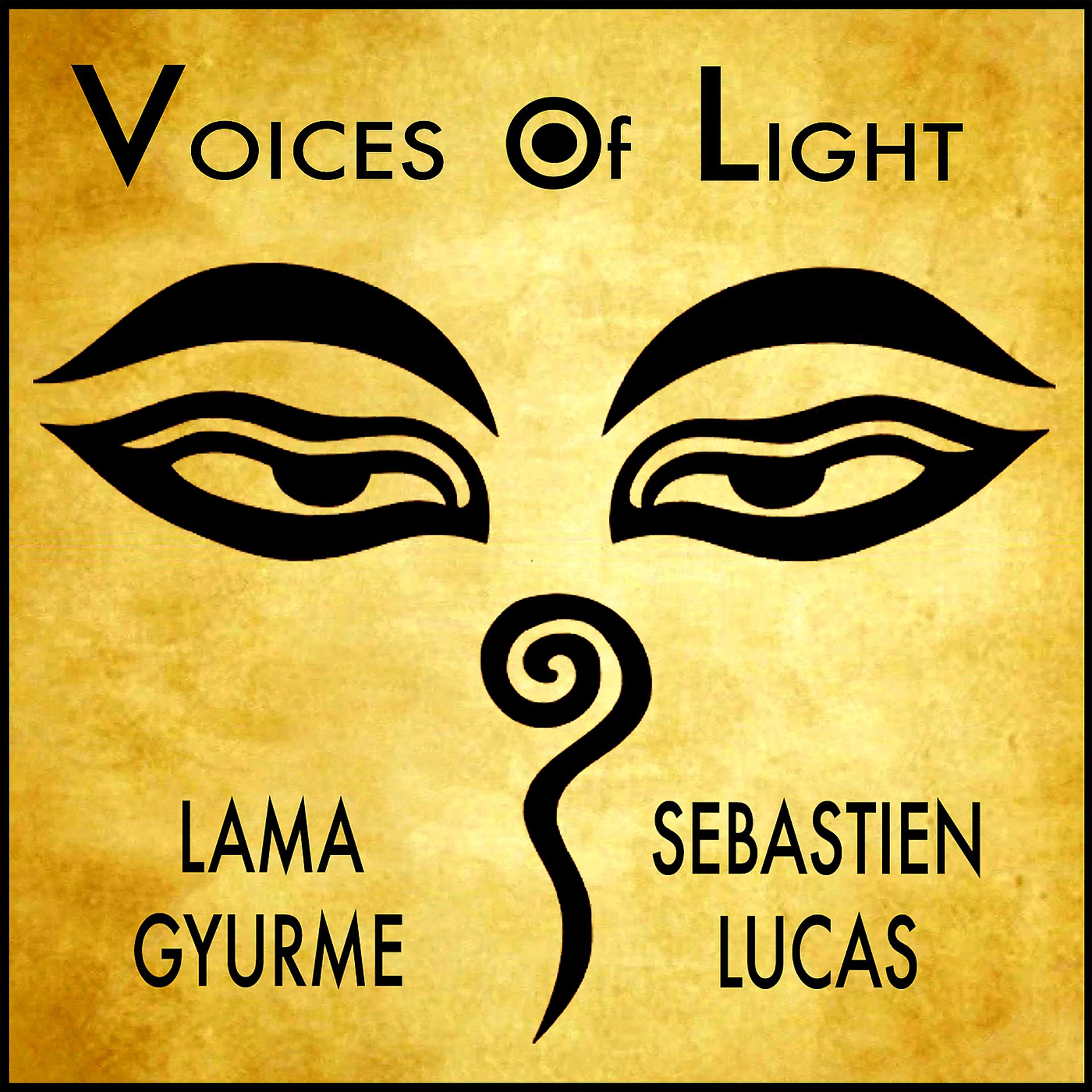 Постер альбома Voices of Light