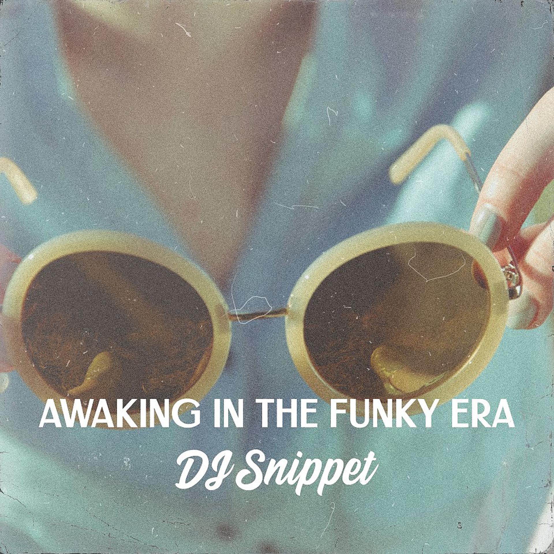Постер альбома Awaking in the Funky Era