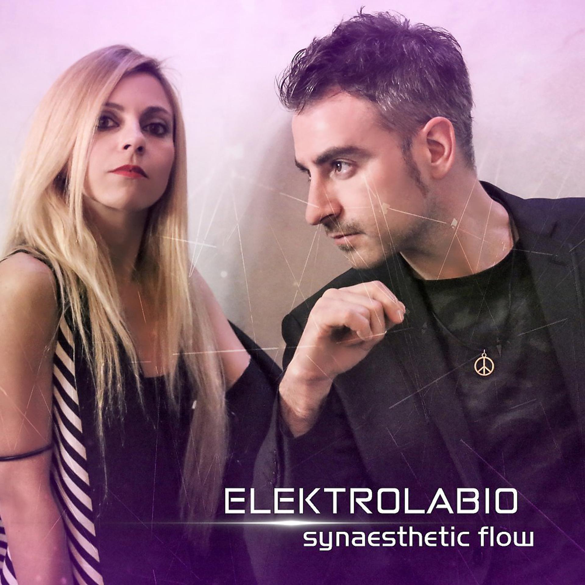 Постер альбома Synaesthetic Flow