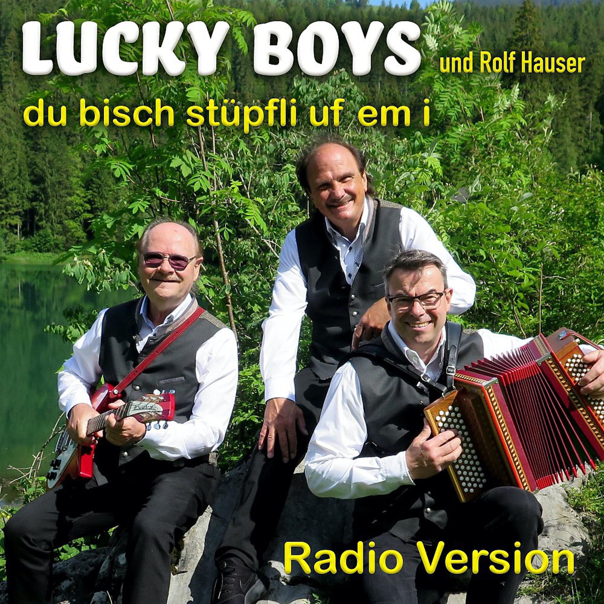 Постер альбома Du bis stüpfli uf em i (Radio Version)