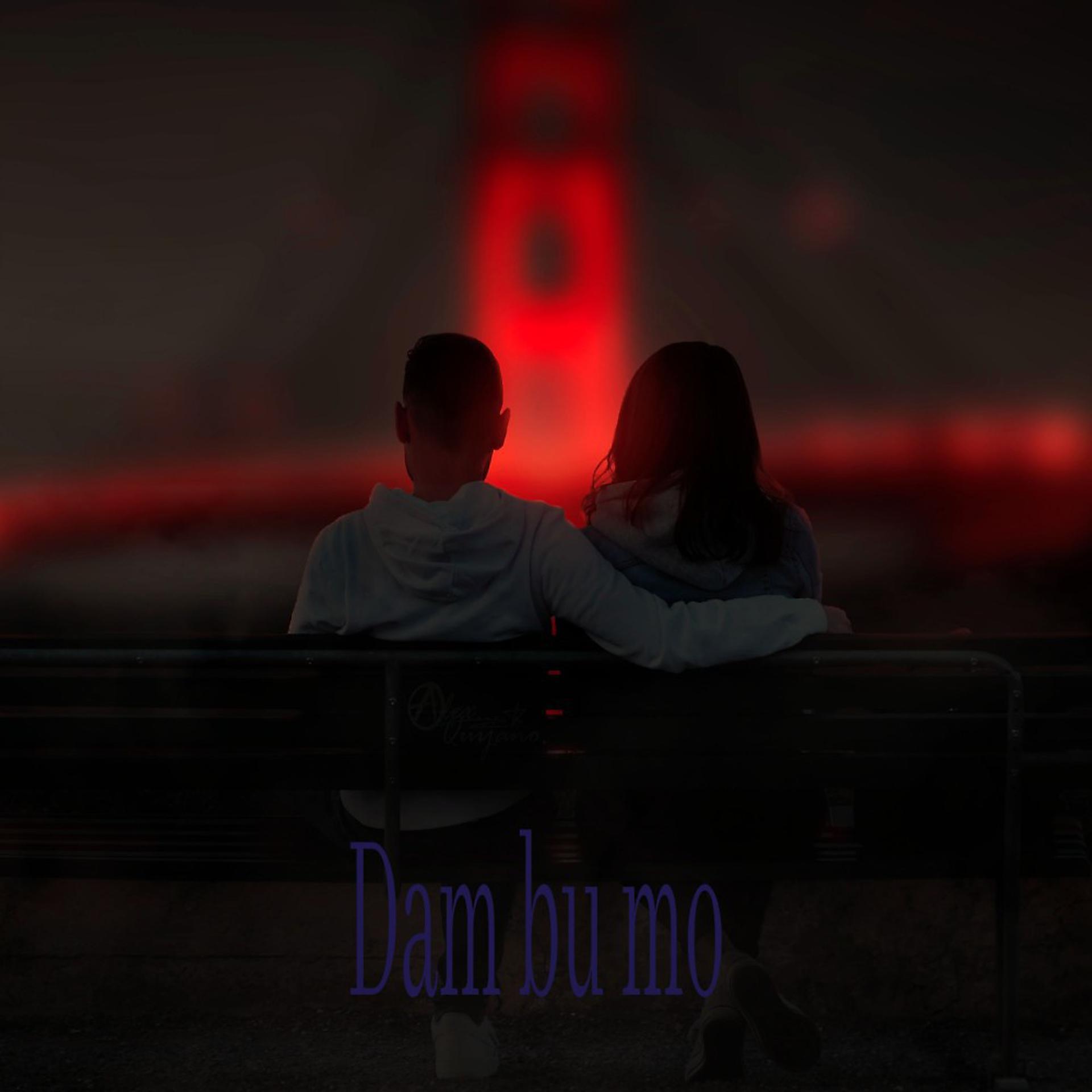Постер альбома Dam Bu Mao