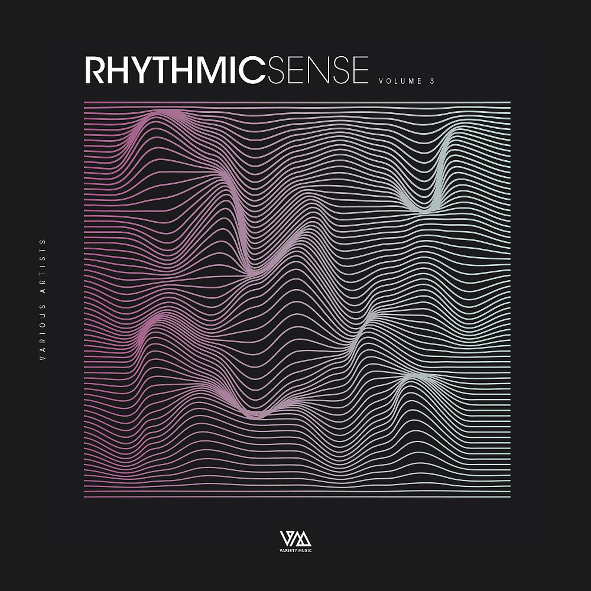 Постер альбома Rhythmic Sense, Vol. 3