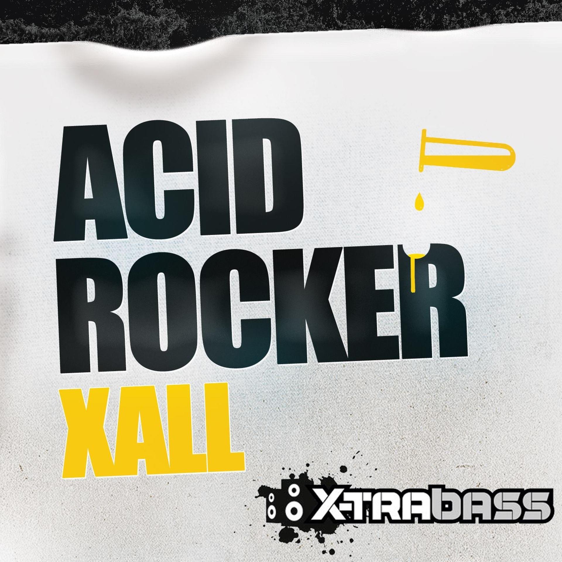 Постер альбома Acid Rocker