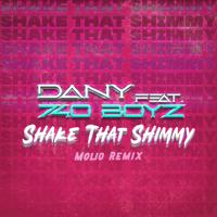 Постер альбома Shake That Shimmy