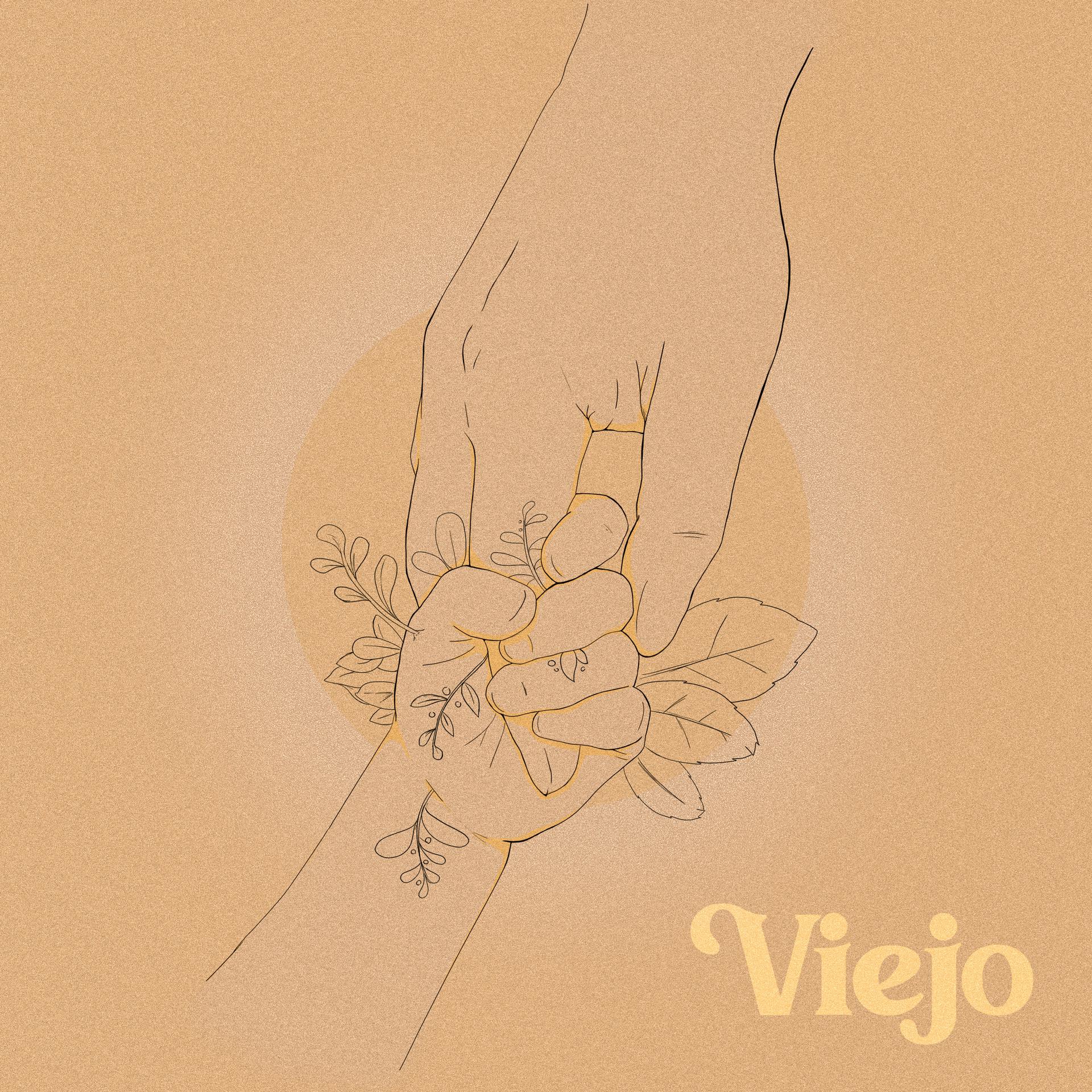 Постер альбома Viejo