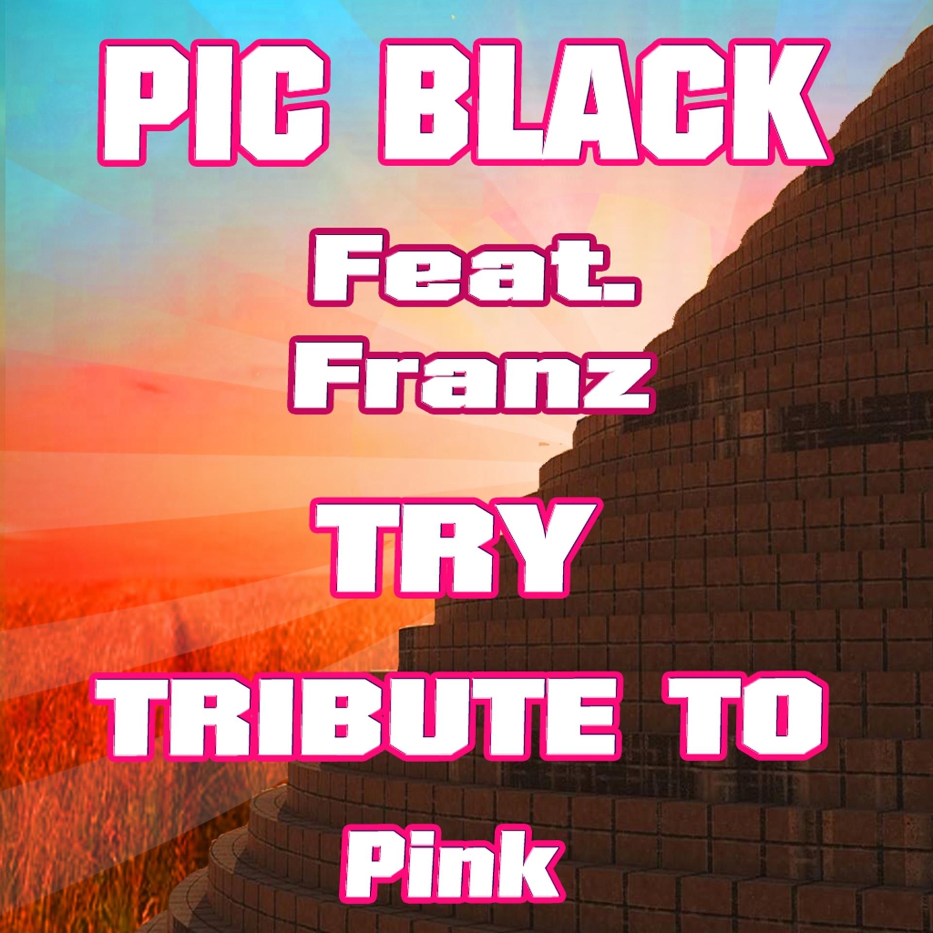 Постер альбома Try: Tribute to Pink