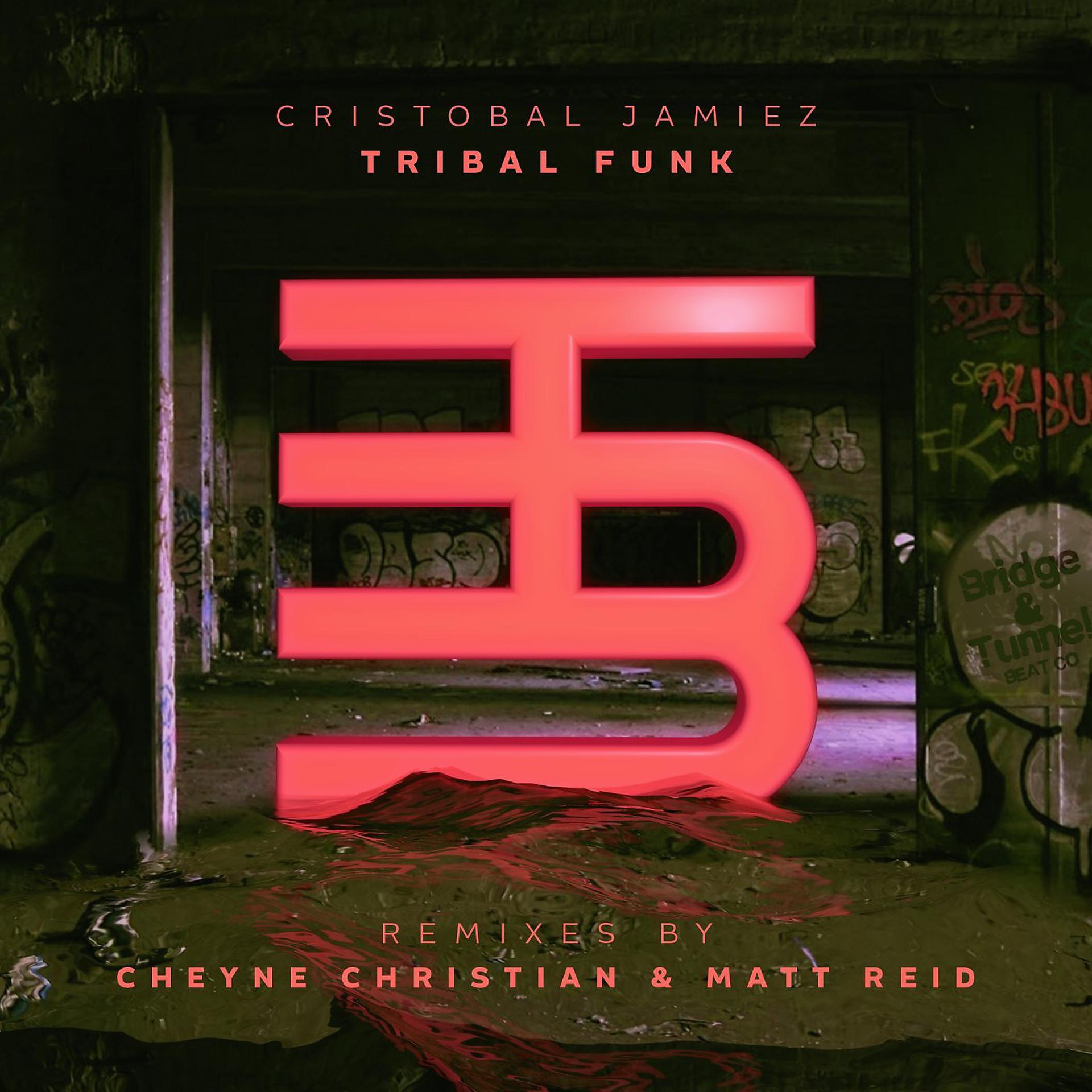 Постер альбома Tribal Funk (DJ Matt Reid Remix)