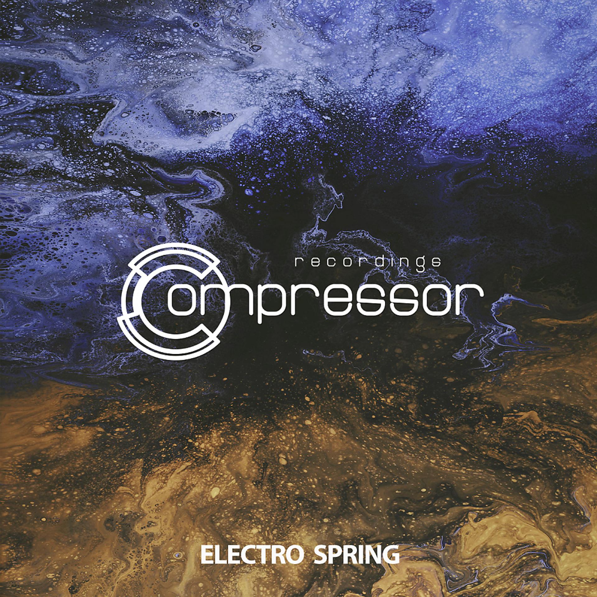 Постер альбома Electro Spring