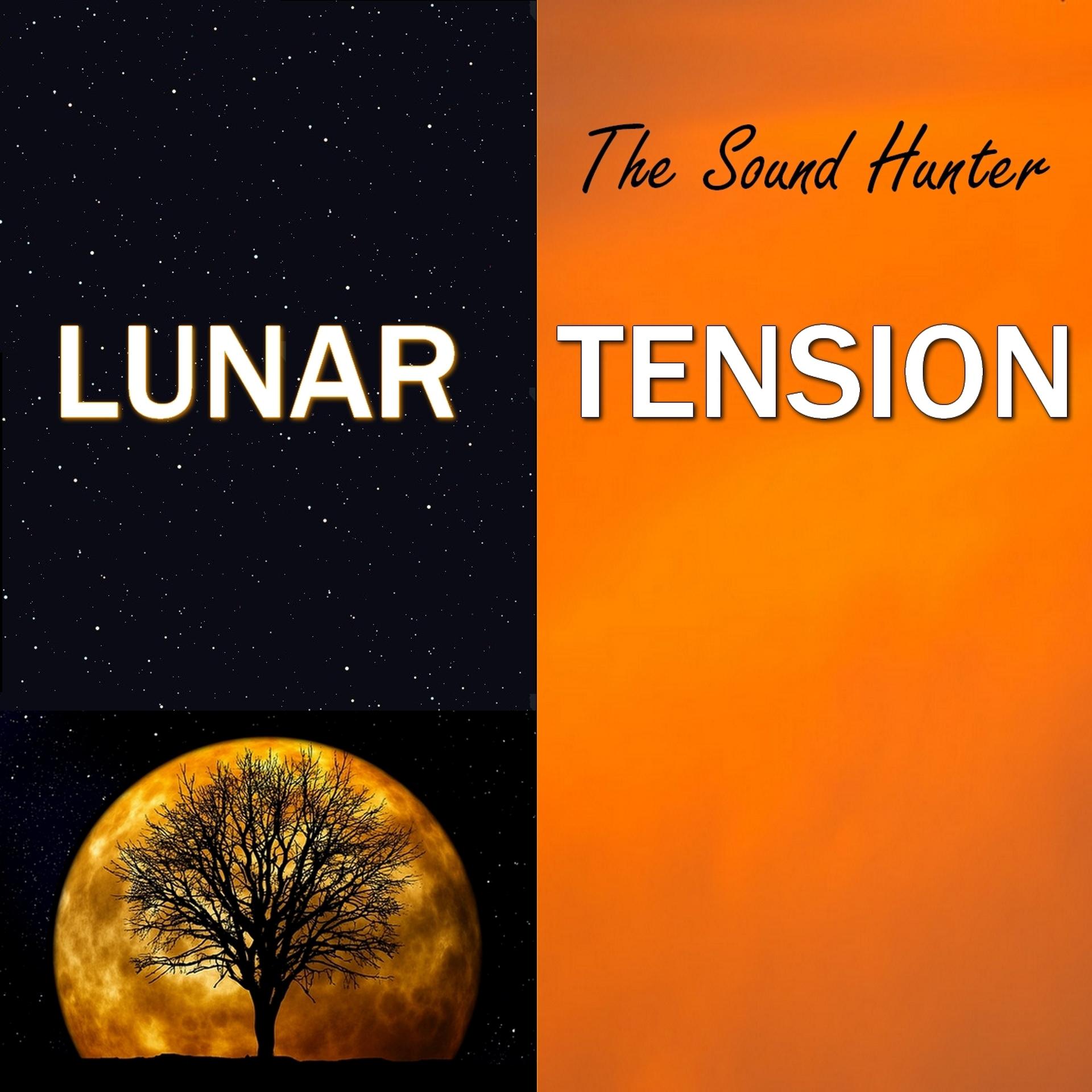 Постер альбома Lunar Tension