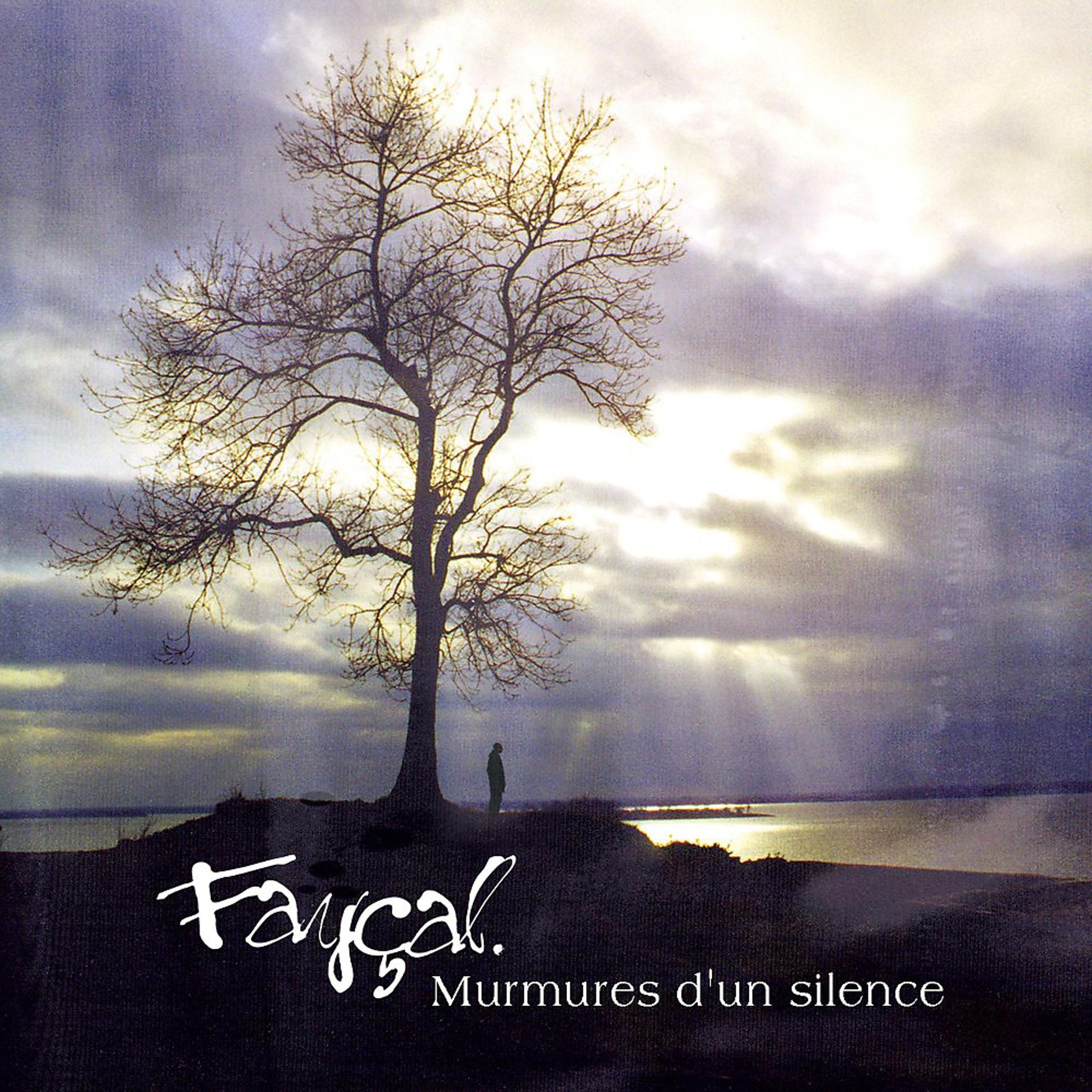 Постер альбома Murmures d'un silence