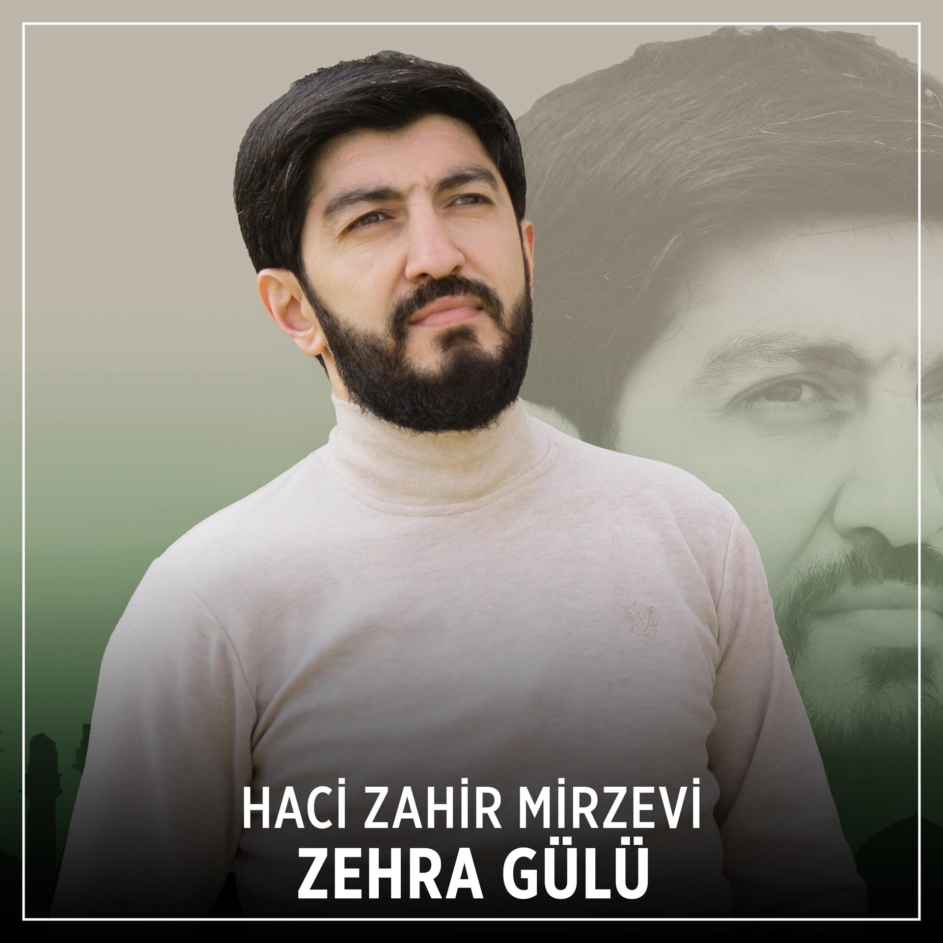 Постер альбома Zehra Gülü
